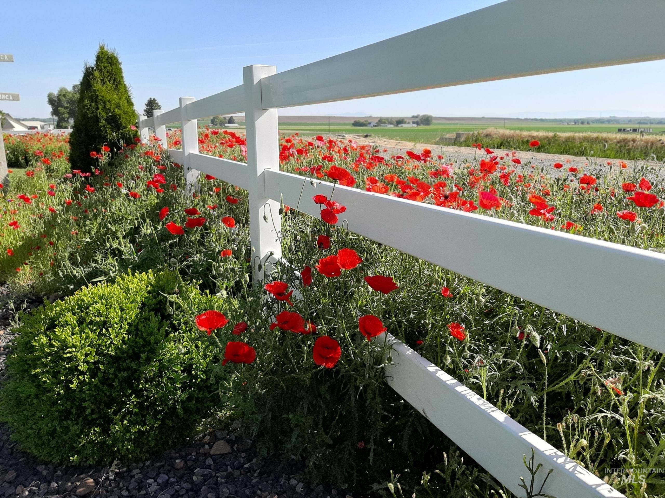 11326 W Rio Rd, Caldwell, Idaho 83607-4816, 3 Bedrooms, 3 Bathrooms, Residential For Sale, Price $1,239,000, 98963390