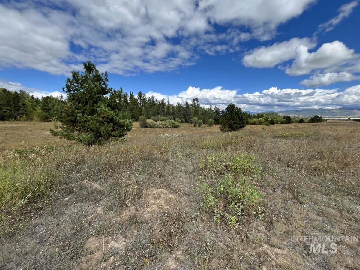 42 Reno Vista Lane, Donnelly, Idaho 83615, Land For Sale, Price $425,000, 98963394