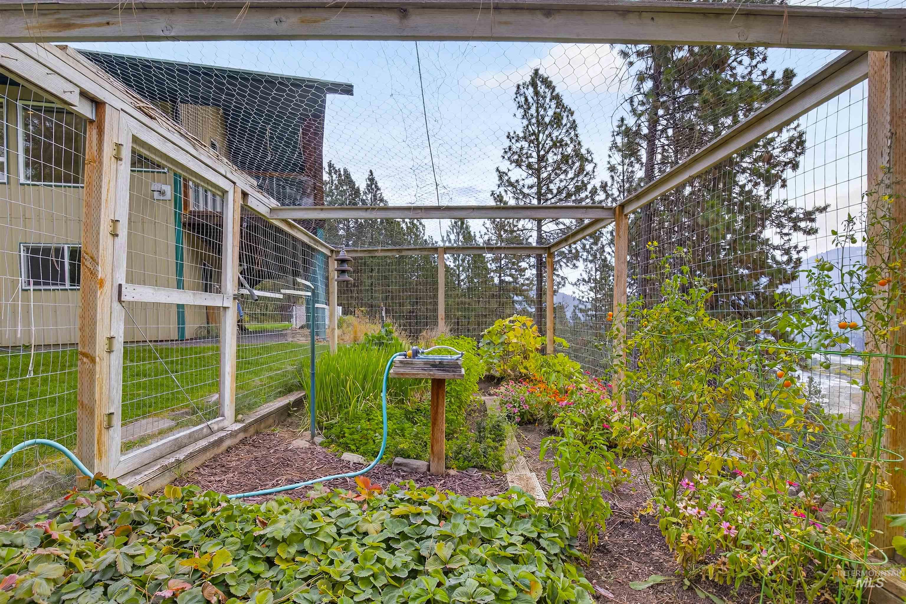 283 Quail Dr, Ahsahka, Idaho 83520, 2 Bedrooms, 2 Bathrooms, Residential For Sale, Price $599,000,MLS 98963401