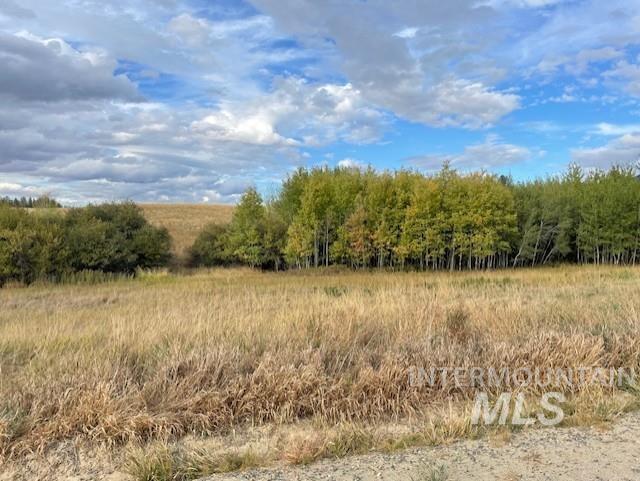 NKA FOX ROAD 150 ACRES, Tensed, Idaho 83870, Land For Sale, Price $825,000, 98963414