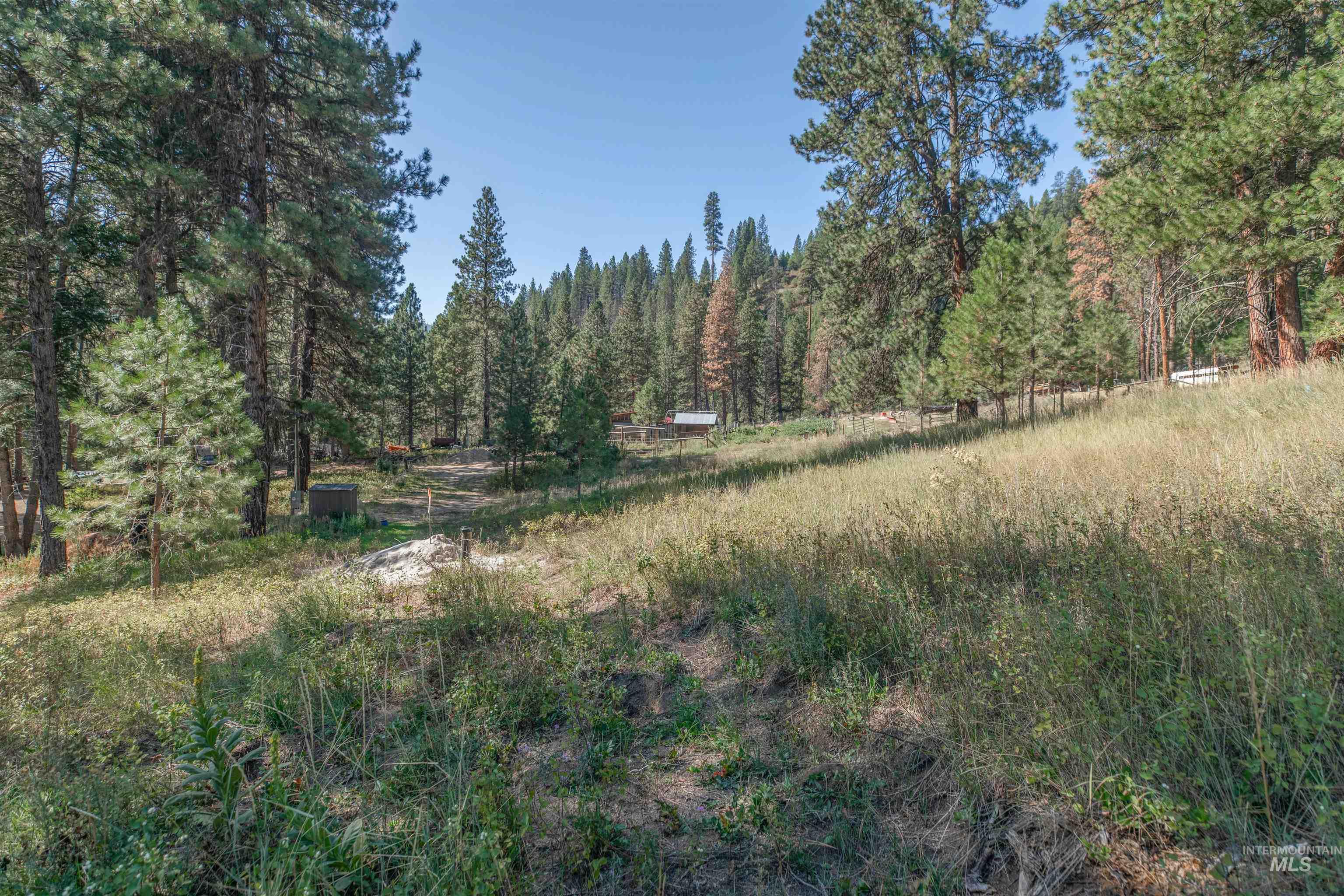 12 Plateau, Lowman, Idaho 83637, Land For Sale, Price $185,000,MLS 98963439