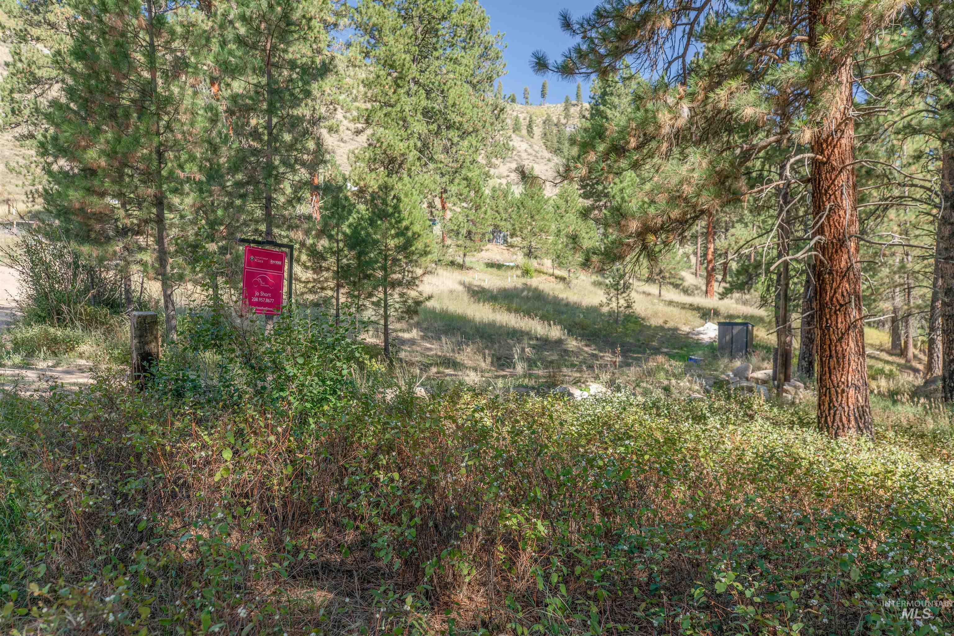 12 Plateau, Lowman, Idaho 83637, Land For Sale, Price $185,000,MLS 98963439