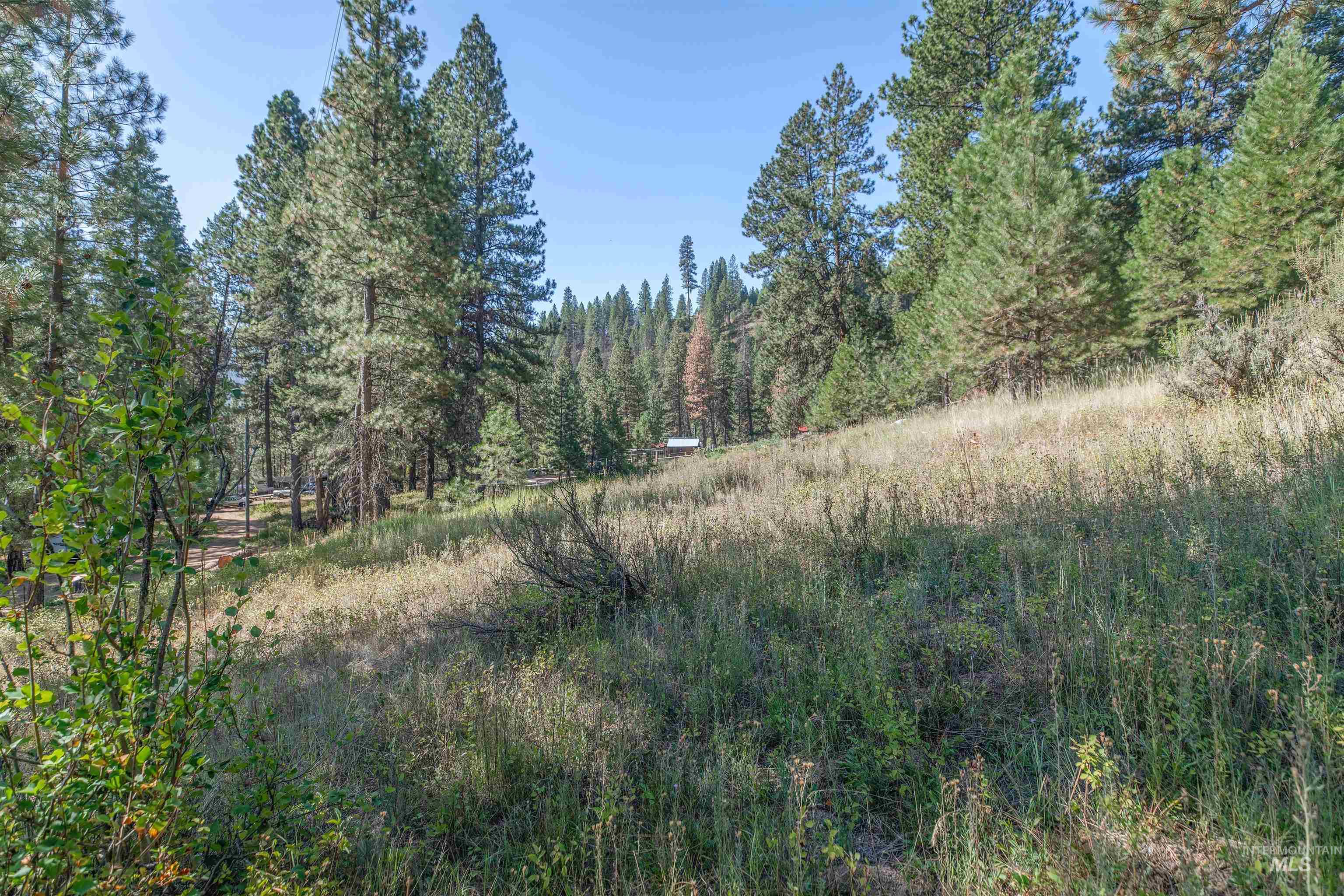 12 Plateau, Lowman, Idaho 83637, Land For Sale, Price $185,000,MLS 98963439