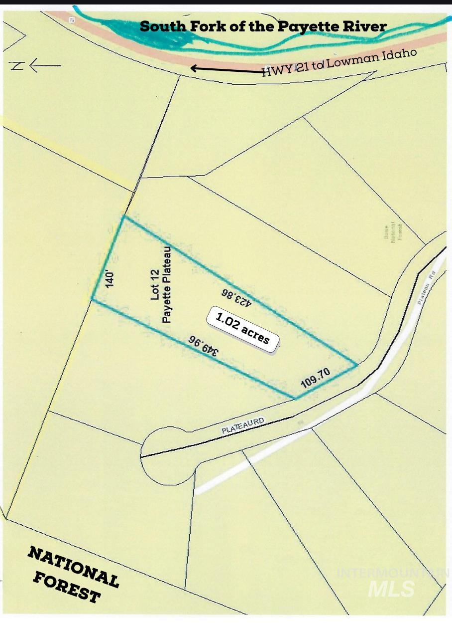 12 Plateau, Lowman, Idaho 83637, Land For Sale, Price $185,000,MLS 98963439