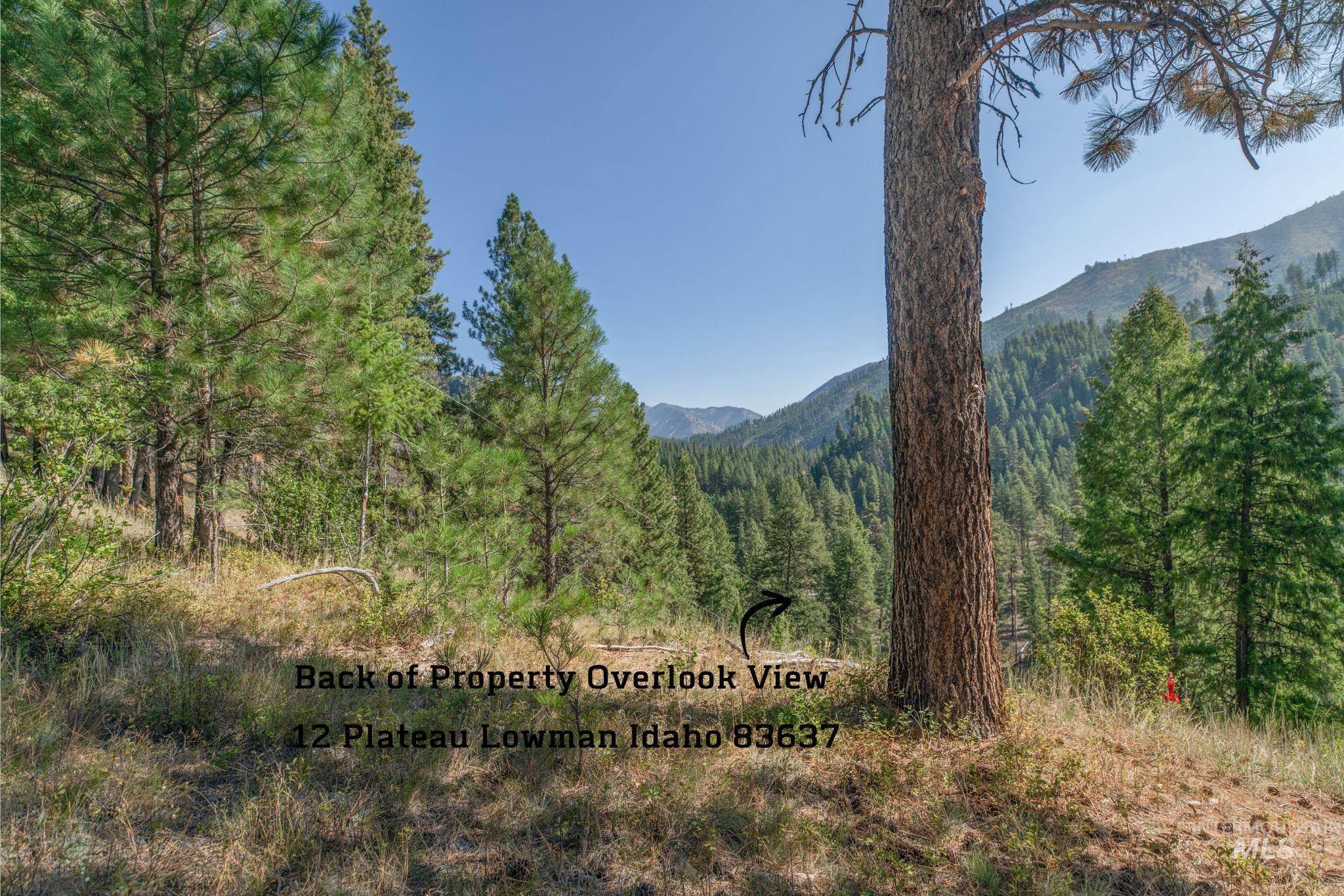 12 Plateau, Lowman, Idaho 83637, Land For Sale, Price $185,000,MLS 98963439