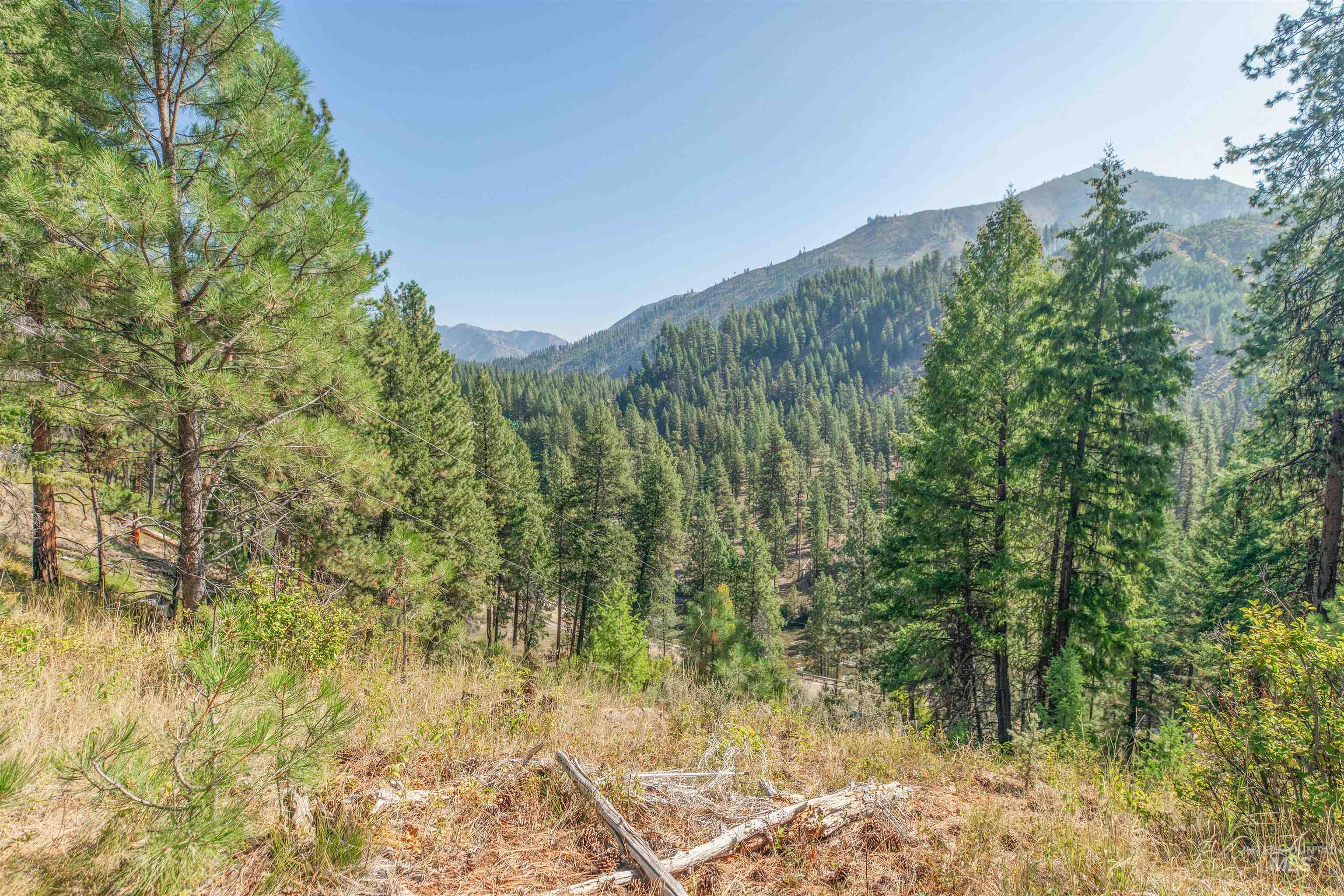 12 Plateau, Lowman, Idaho 83637, Land For Sale, Price $185,000,MLS 98963439