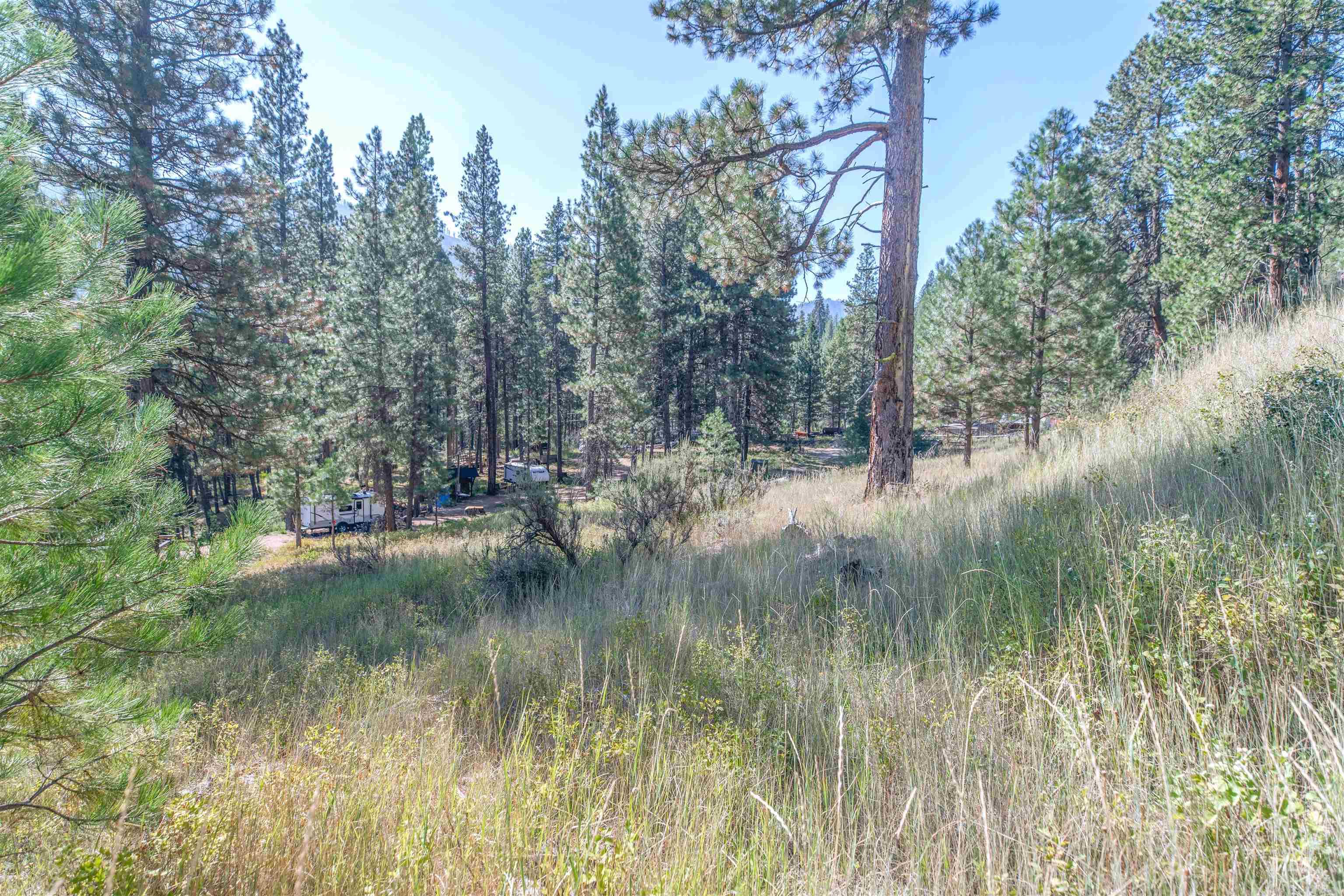 12 Plateau, Lowman, Idaho 83637, Land For Sale, Price $185,000,MLS 98963439