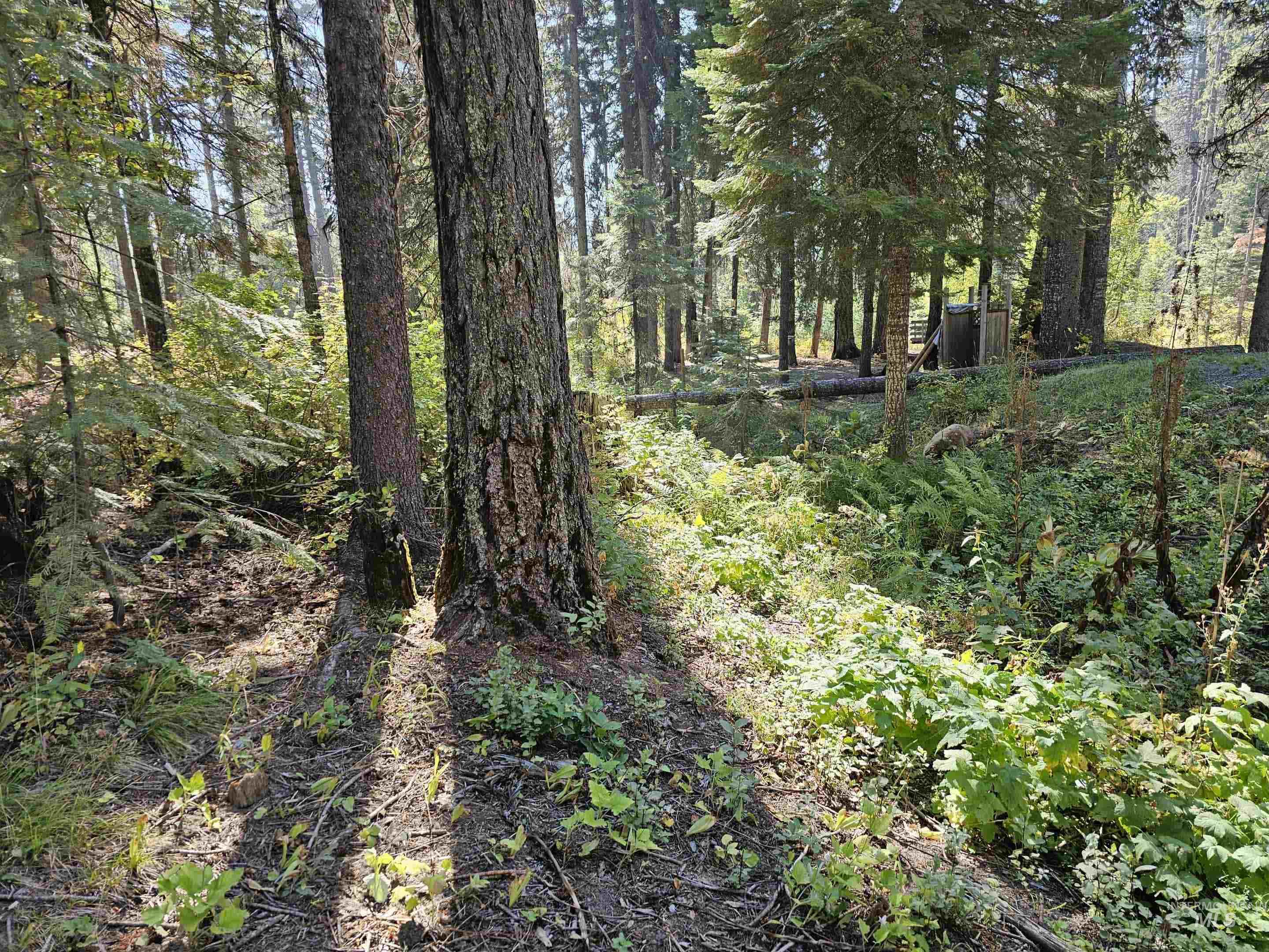 1788 Lark Trail, Donnelly, Idaho 83615, Land For Sale, Price $189,000,MLS 98963518