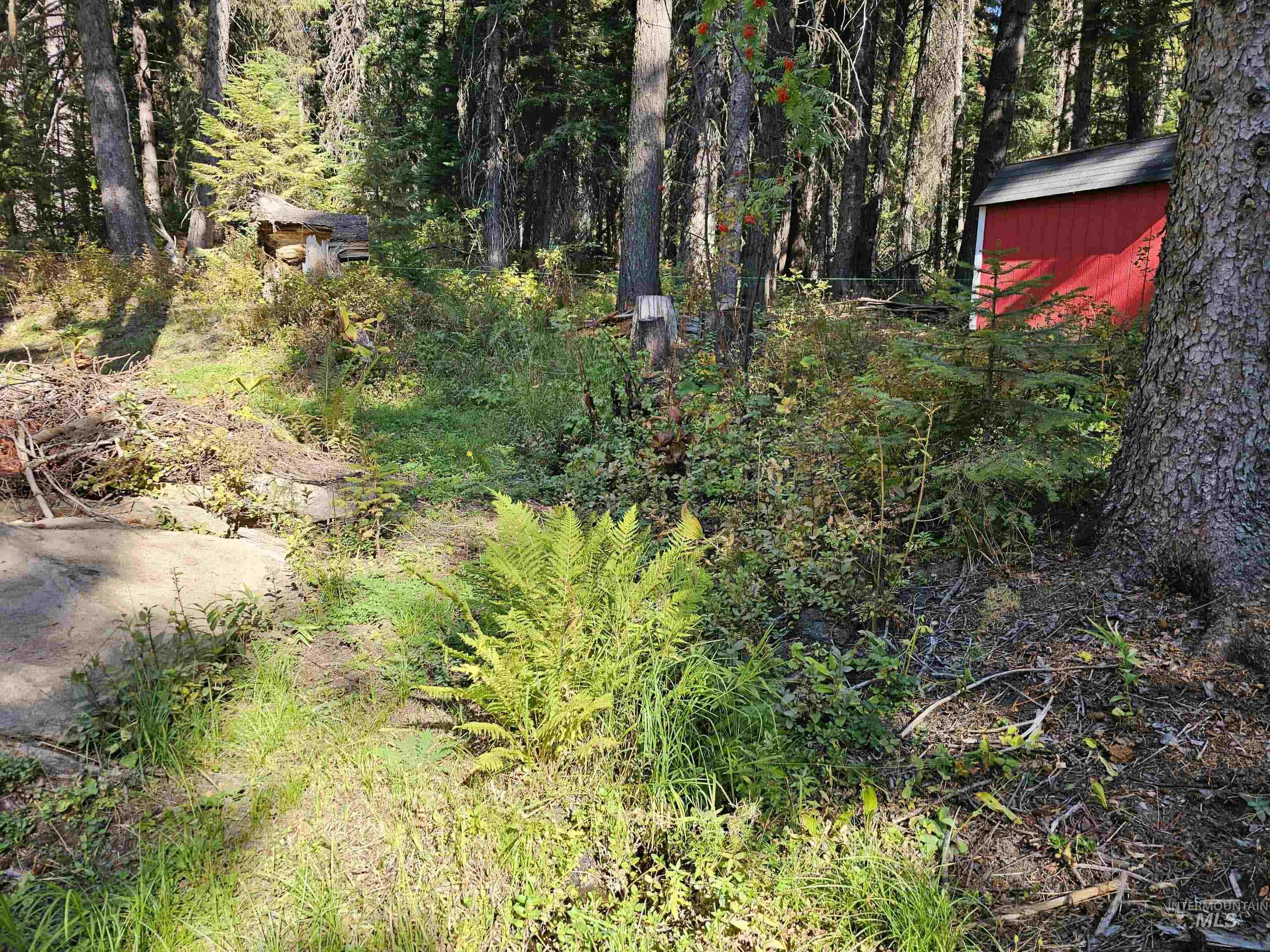 1788 Lark Trail, Donnelly, Idaho 83615, Land For Sale, Price $189,000,MLS 98963518