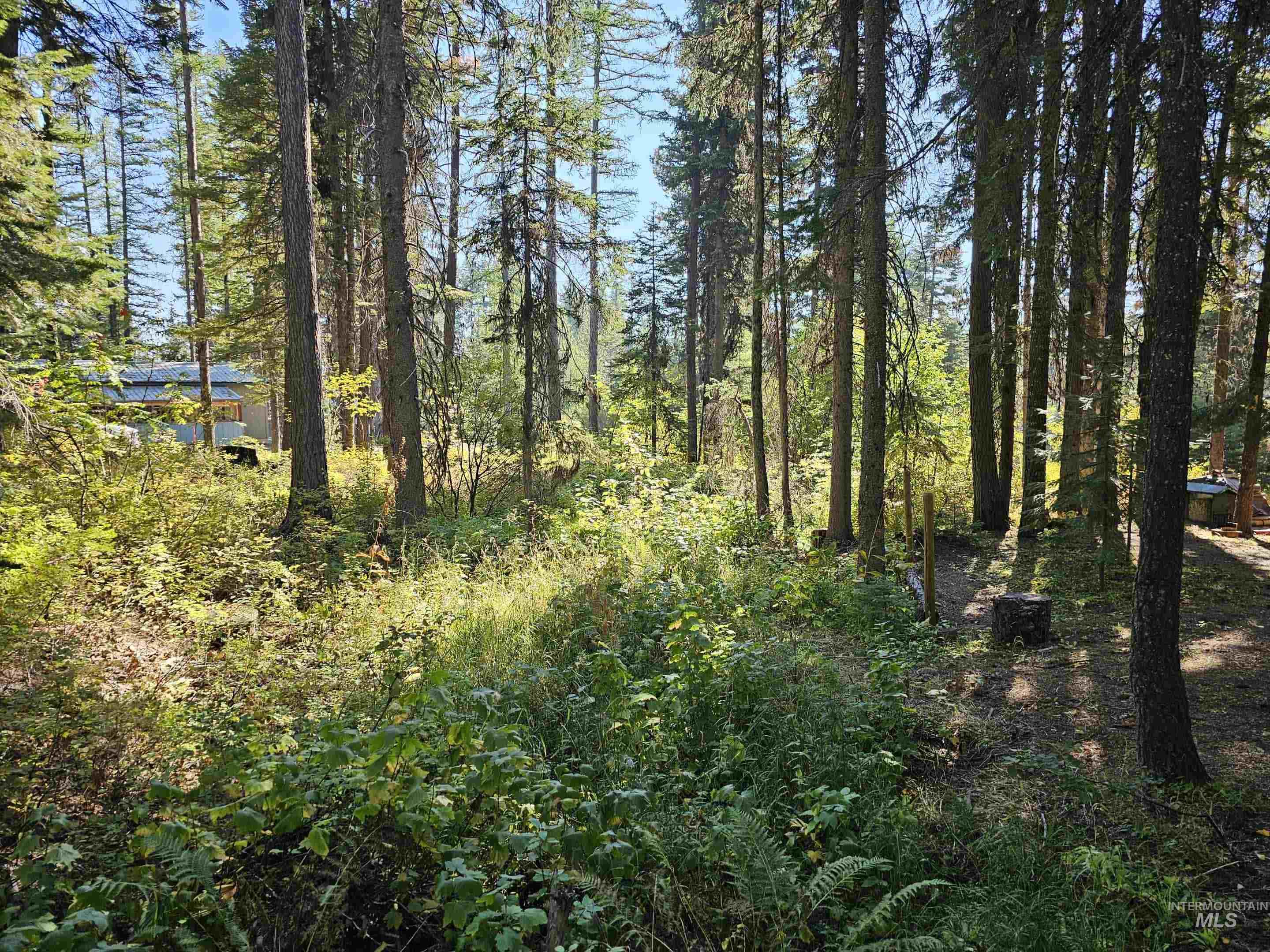 1788 Lark Trail, Donnelly, Idaho 83615, Land For Sale, Price $189,000,MLS 98963518