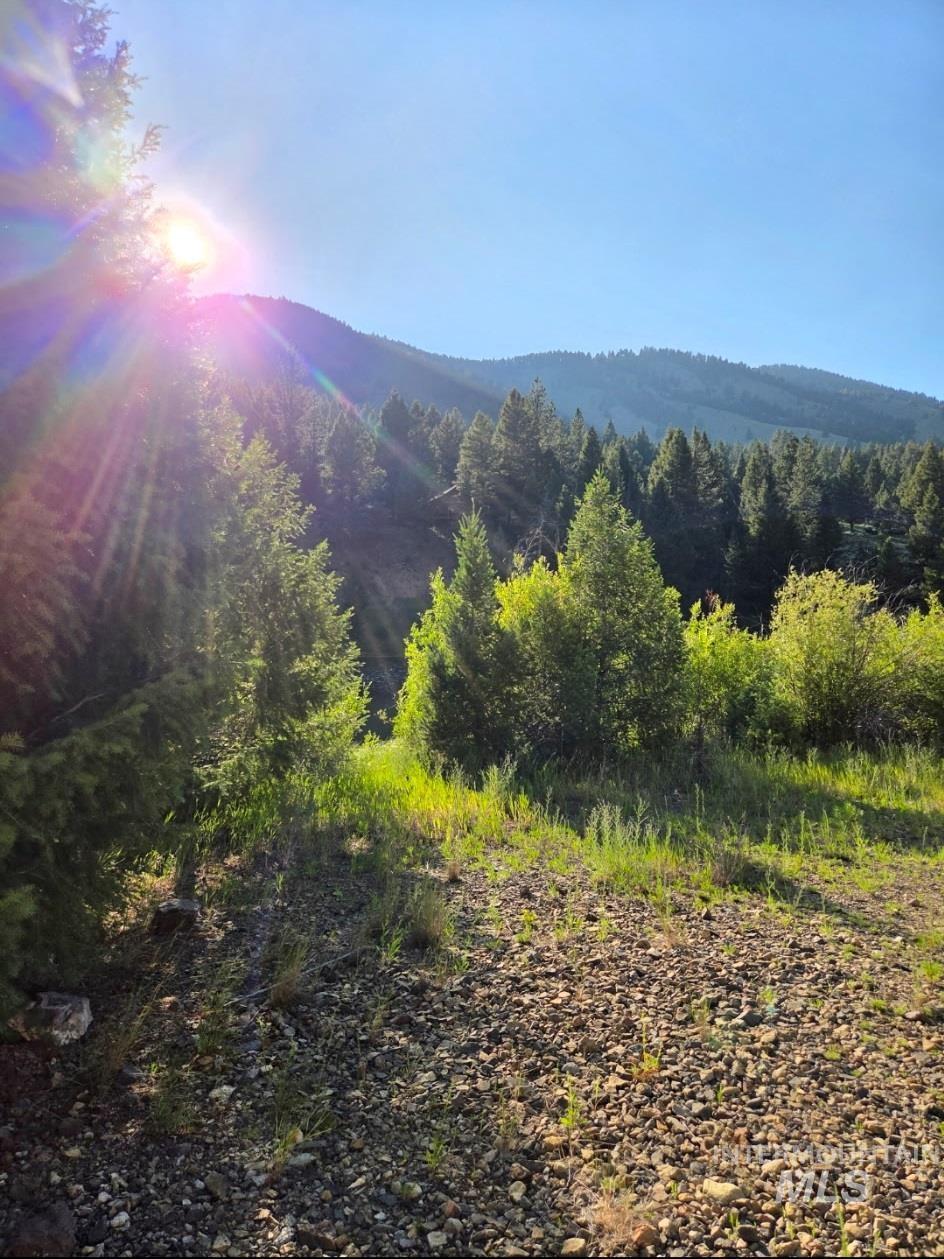 27 Grizzly Bear Rd, Shoup, Idaho 83469, 3 Bedrooms, 2 Bathrooms, Residential For Sale, Price $200,000,MLS 98963527