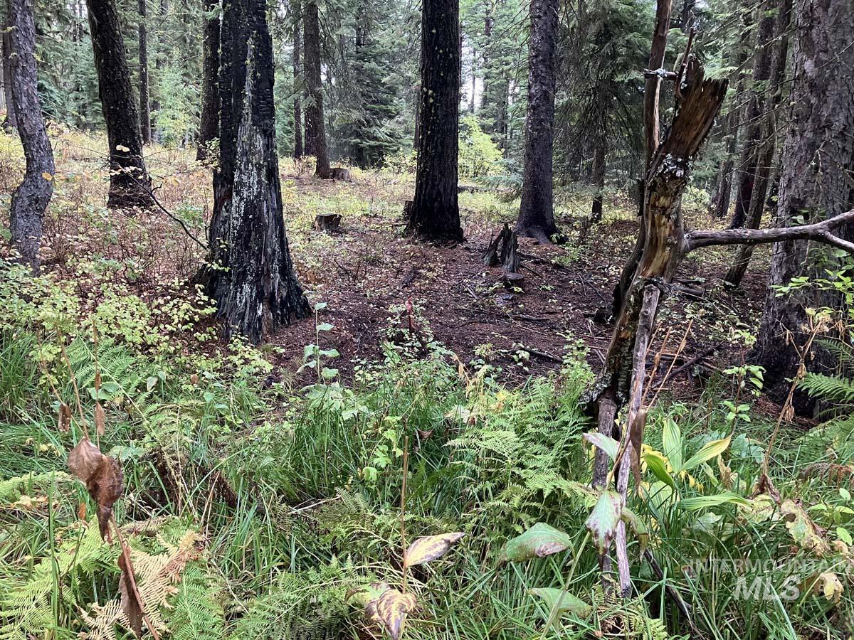 1790 Lark Trail, Donnelly, Idaho 83615, Land For Sale, Price $250,000, 98963598