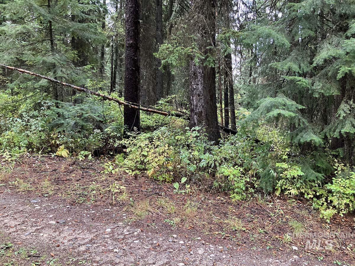 1790 Lark Trail, Donnelly, Idaho 83615, Land For Sale, Price $250,000, 98963598