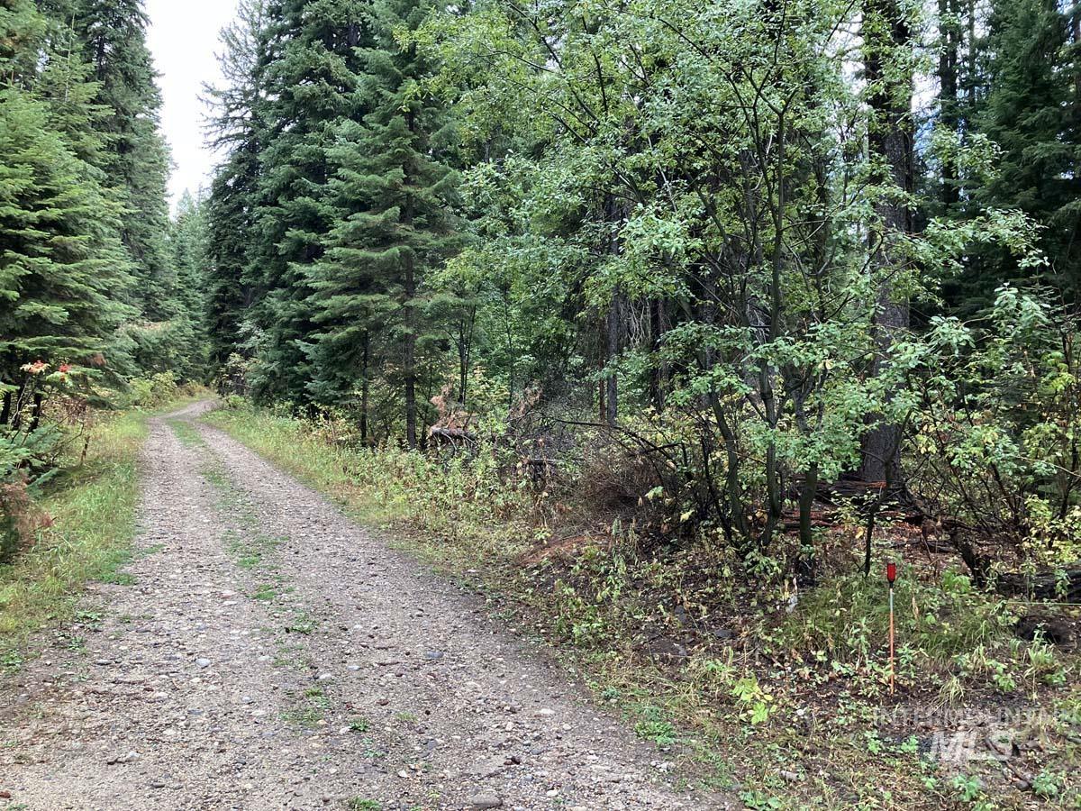 1790 Lark Trail, Donnelly, Idaho 83615, Land For Sale, Price $250,000, 98963598