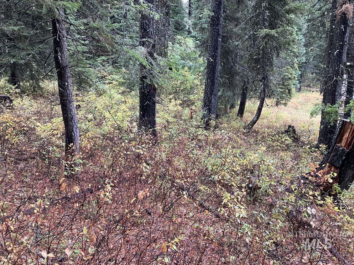1790 Lark Trail, Donnelly, Idaho 83615, Land For Sale, Price $250,000, 98963598
