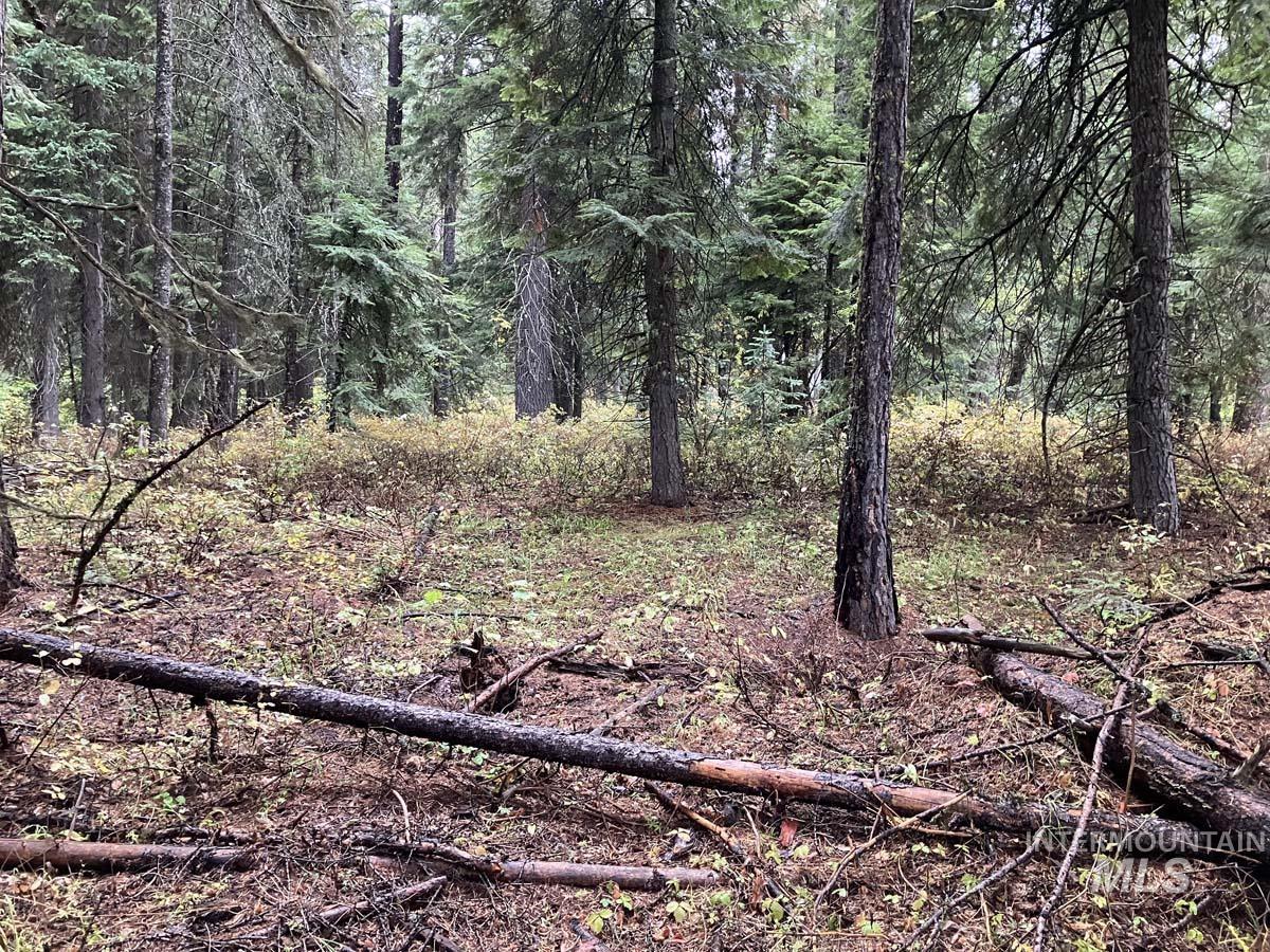 1790 Lark Trail, Donnelly, Idaho 83615, Land For Sale, Price $250,000, 98963598