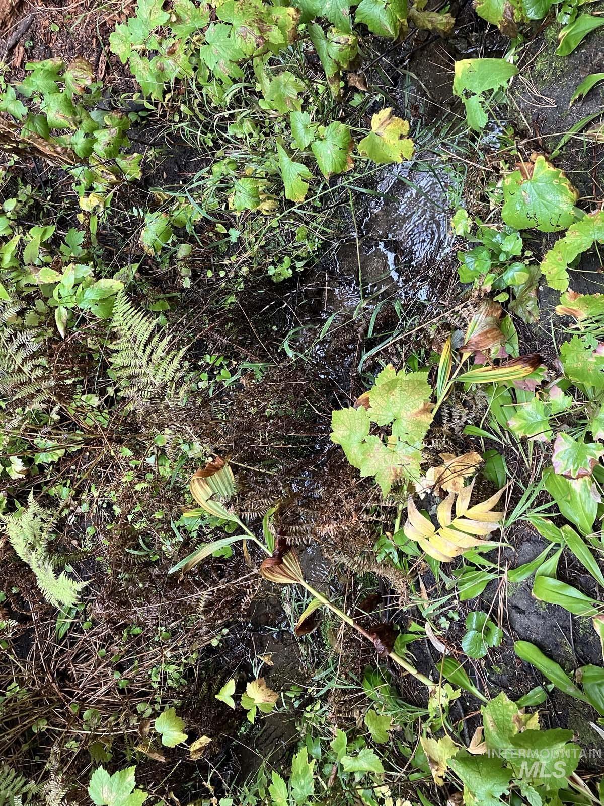 1790 Lark Trail, Donnelly, Idaho 83615, Land For Sale, Price $250,000, 98963598