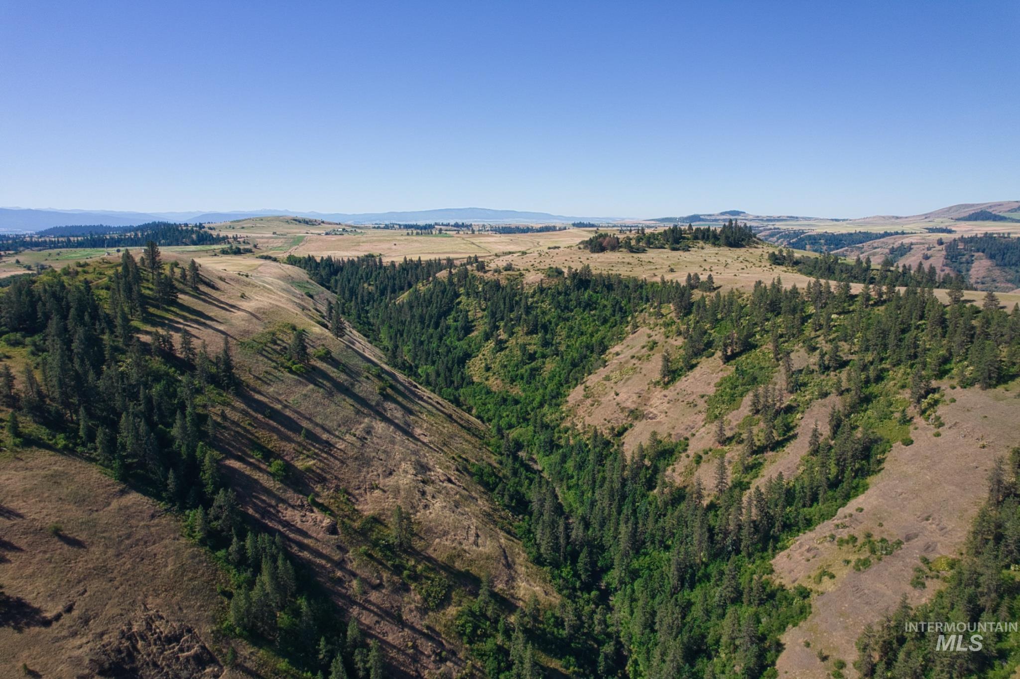 DOTY ROAD, Kamiah, Idaho 83536, Farm & Ranch For Sale, Price $1,218,000,MLS 98963797
