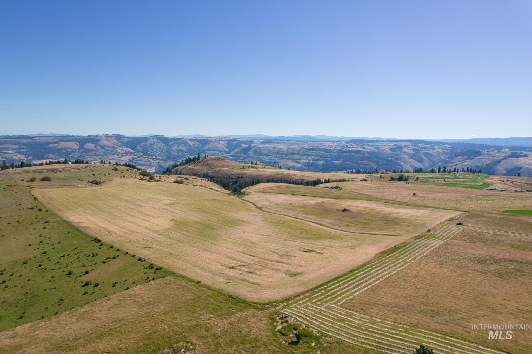 DOTY ROAD, Kamiah, Idaho 83536, Farm & Ranch For Sale, Price $1,218,000,MLS 98963797