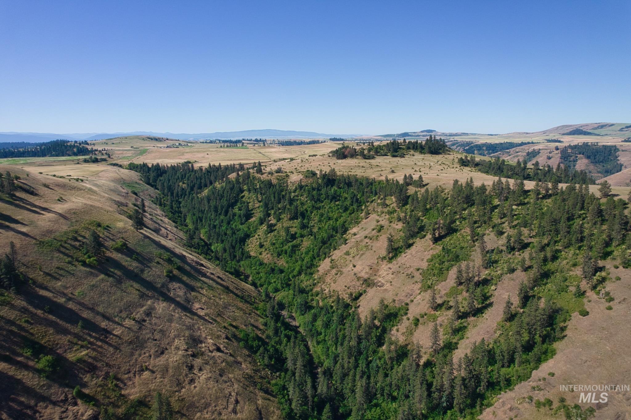 DOTY ROAD, Kamiah, Idaho 83536, Farm & Ranch For Sale, Price $1,218,000,MLS 98963797