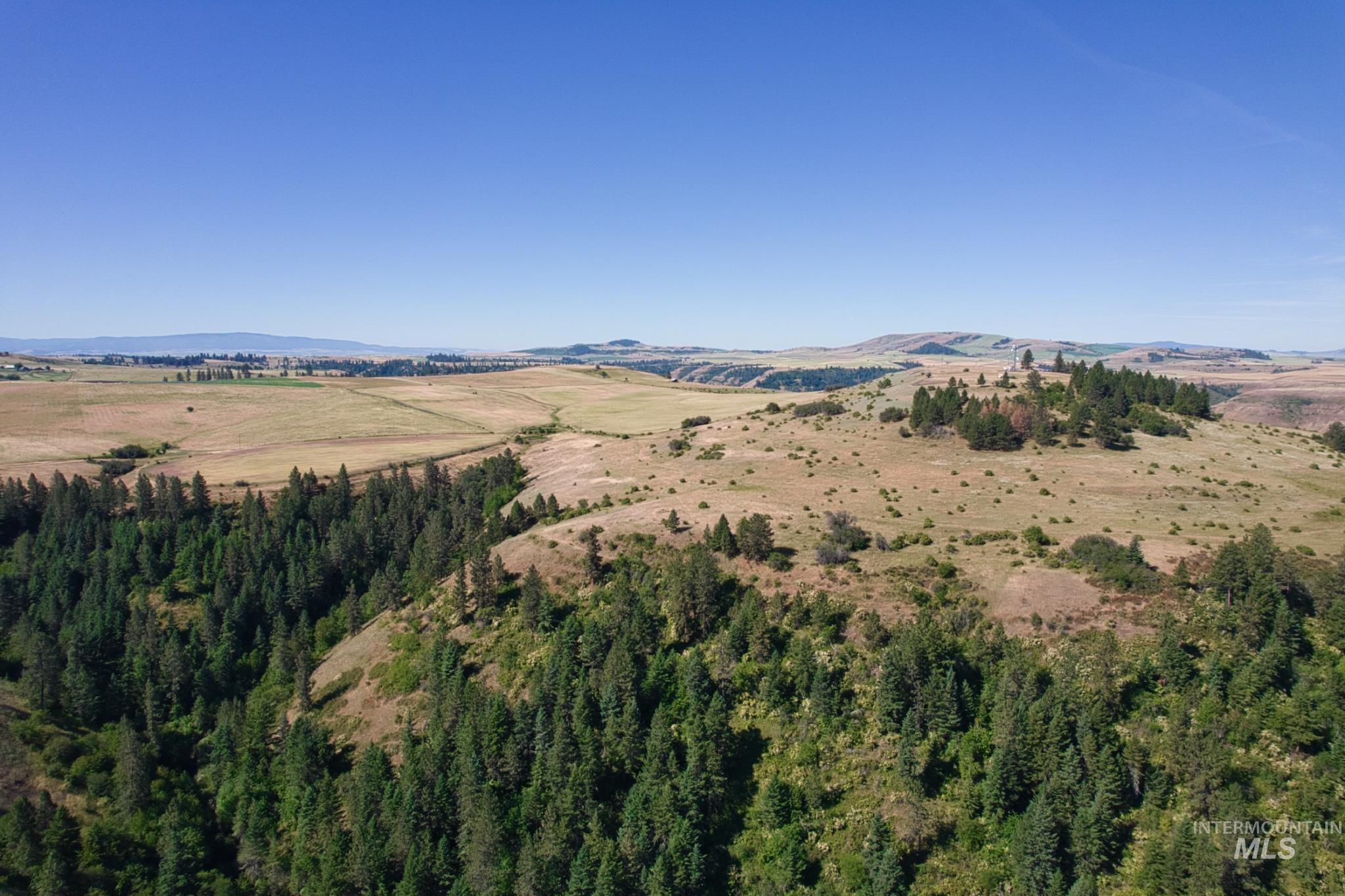 DOTY ROAD, Kamiah, Idaho 83536, Farm & Ranch For Sale, Price $1,218,000,MLS 98963797