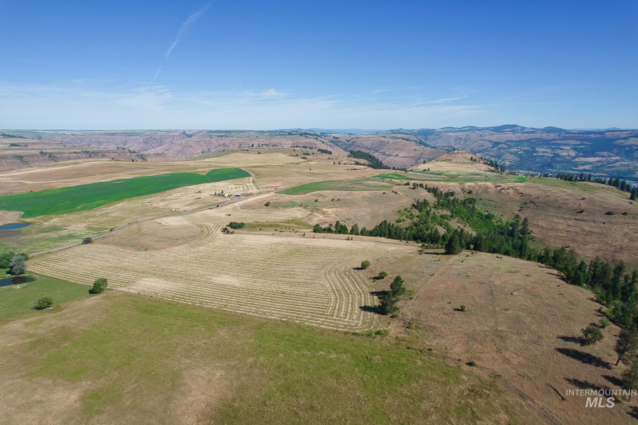 DOTY ROAD, Kamiah, Idaho 83536, Farm & Ranch For Sale, Price $1,218,000,MLS 98963797