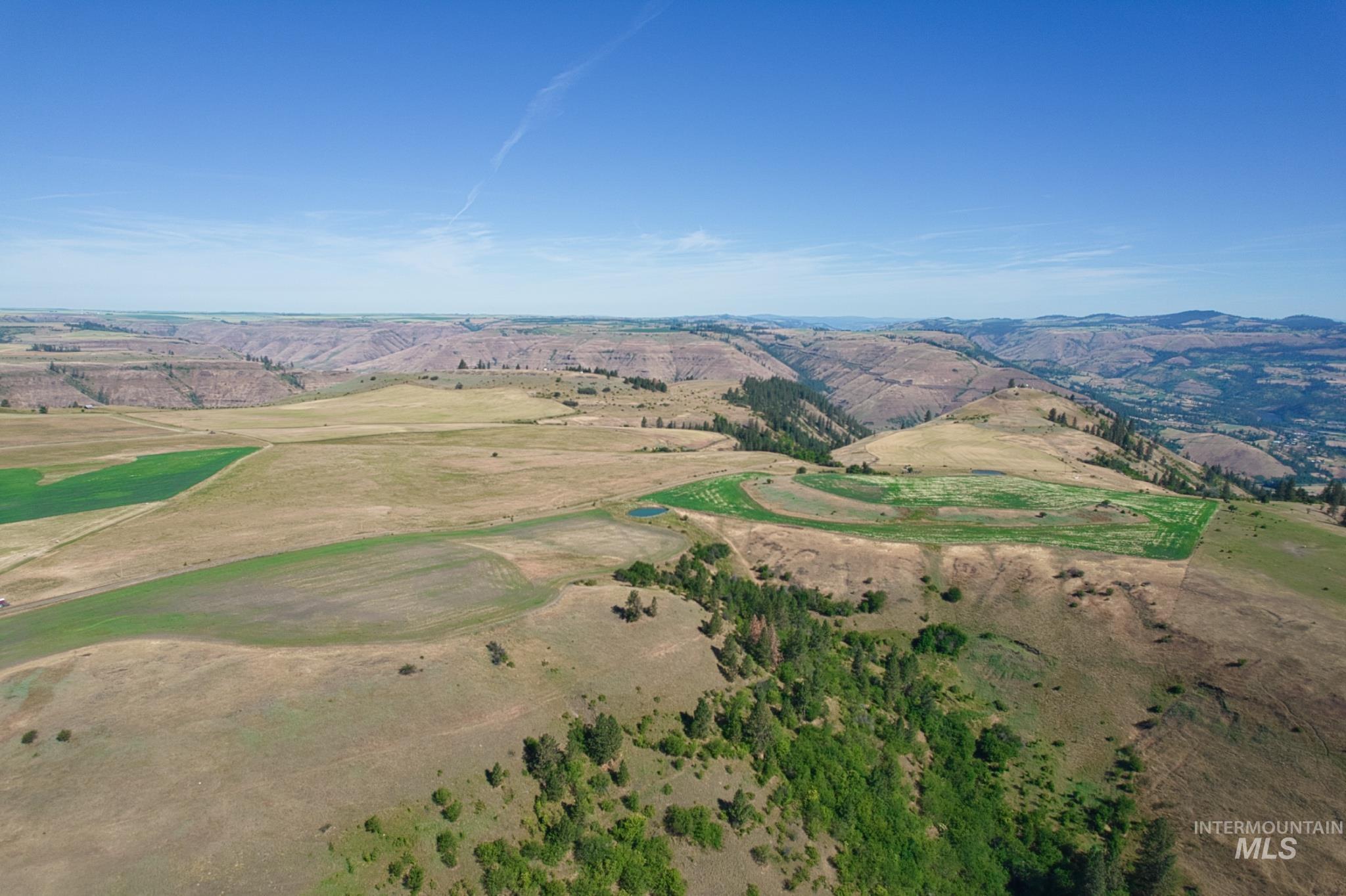 DOTY ROAD, Kamiah, Idaho 83536, Farm & Ranch For Sale, Price $1,218,000,MLS 98963797