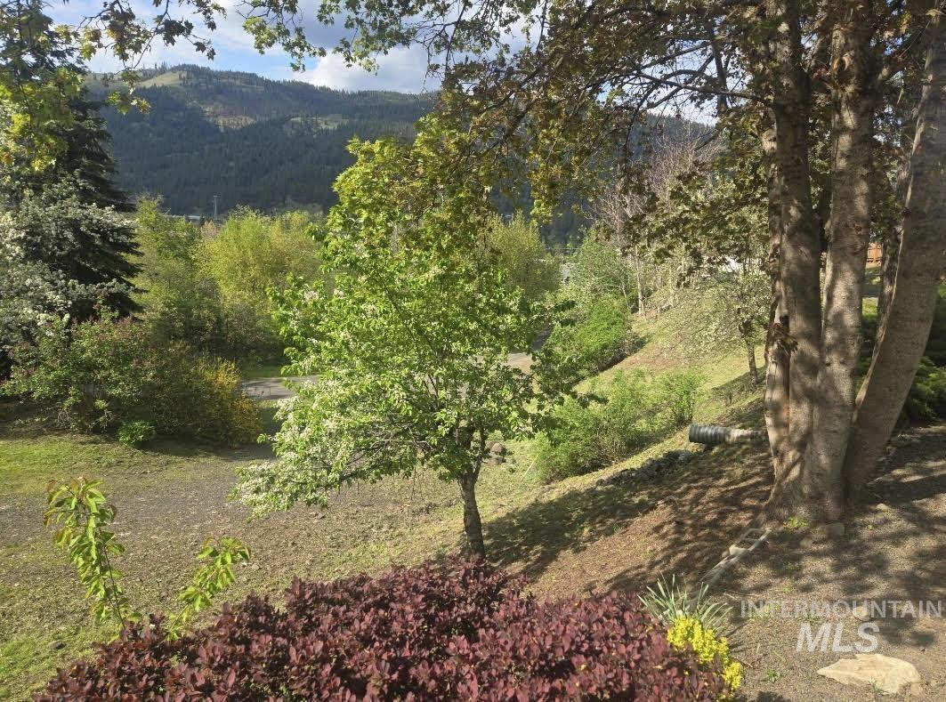 12954 Indio Avenue, Orofino, Idaho 83544, 4 Bedrooms, 3 Bathrooms, Residential For Sale, Price $432,000,MLS 98963804