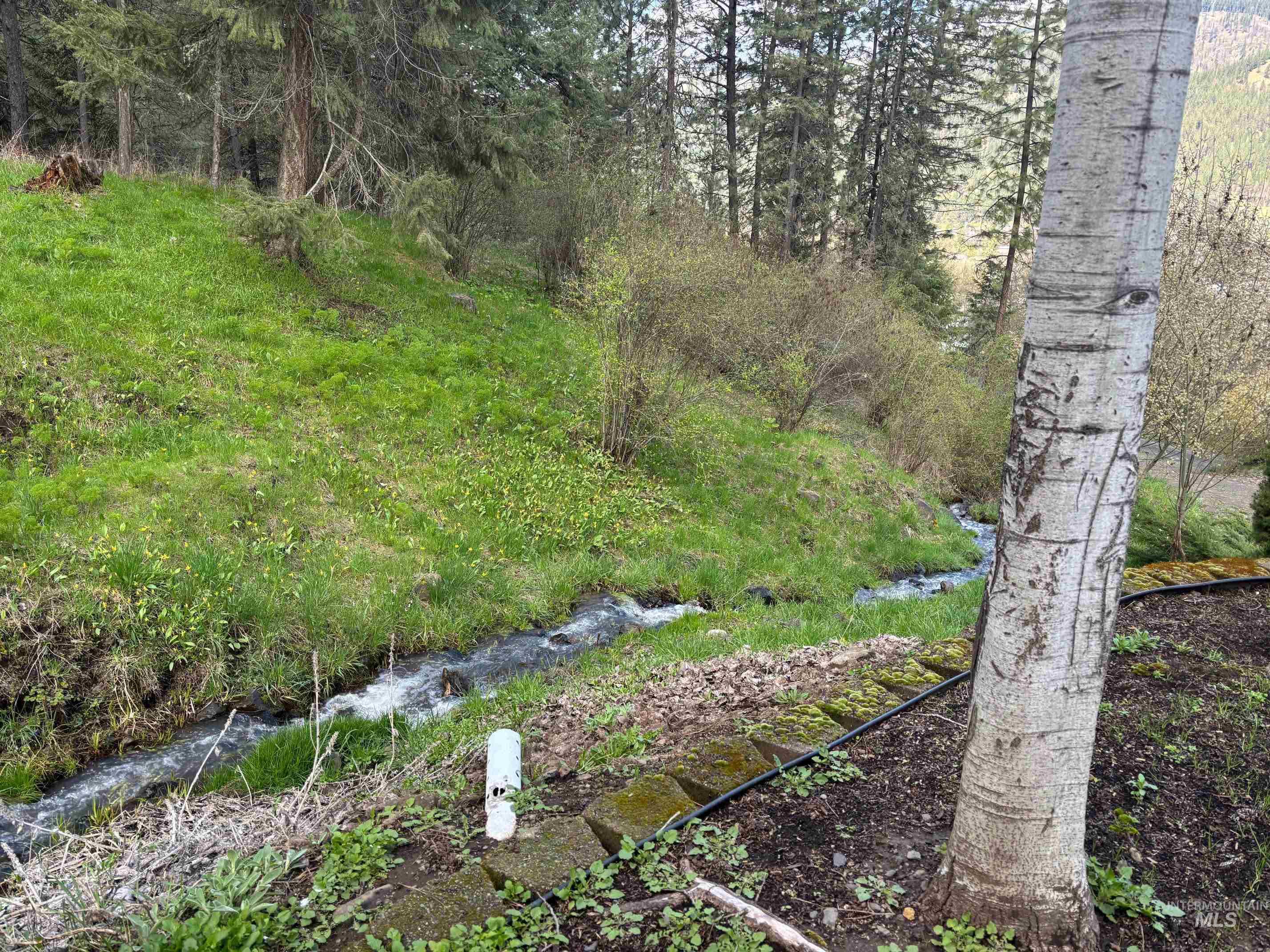 12954 Indio Avenue, Orofino, Idaho 83544, 4 Bedrooms, 3 Bathrooms, Residential For Sale, Price $432,000,MLS 98963804