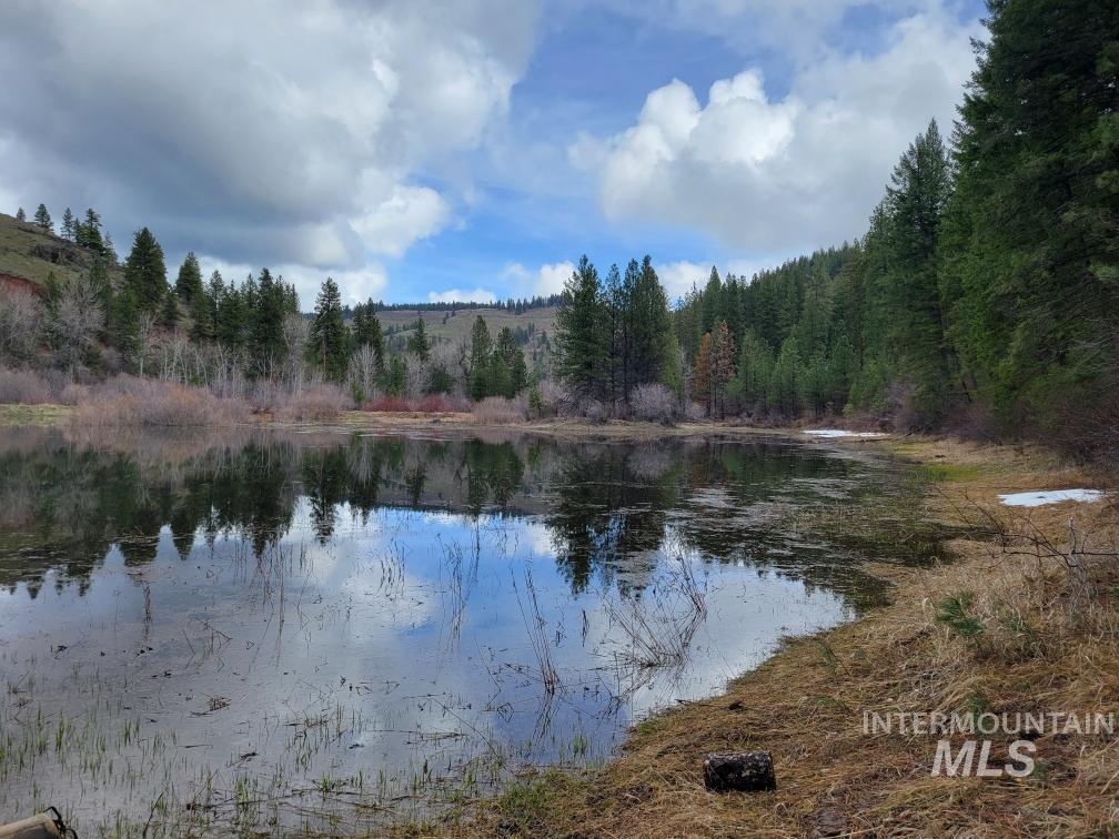 TBD Peaceful Pines Rd Lot 13, Council, Idaho 83612, Land For Sale, Price $235,000, 98963820