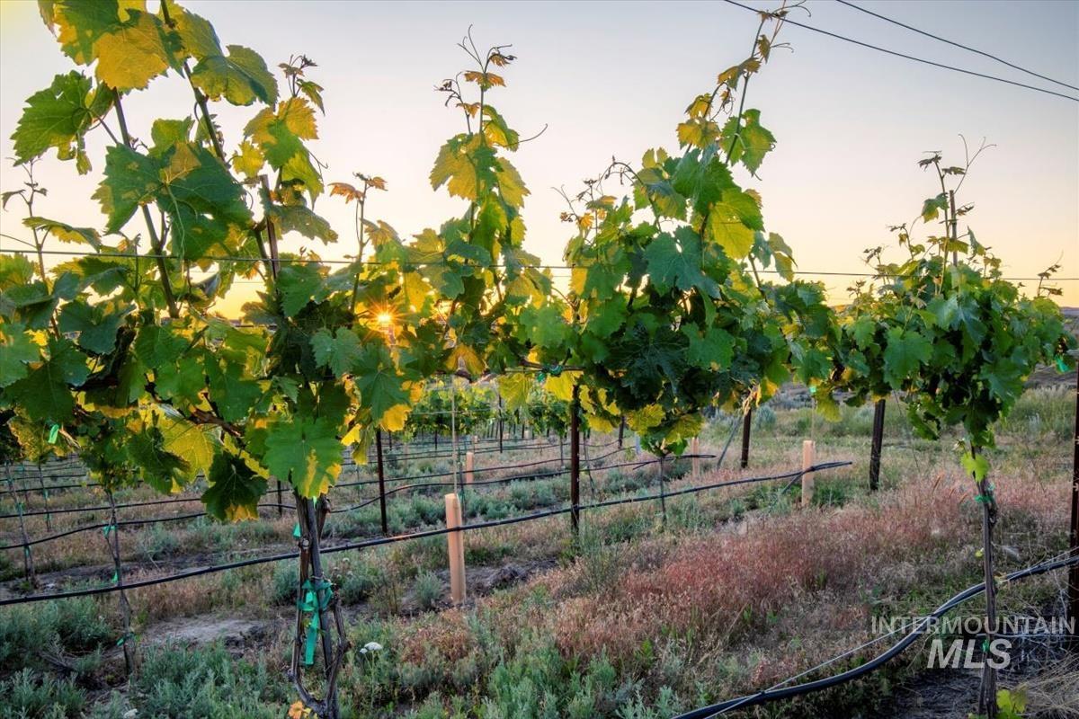 5446 N Highway 16, Eagle, Idaho 83616, 5 Bedrooms, Business/Commercial For Sale, Price $9,100,000,MLS 98963829