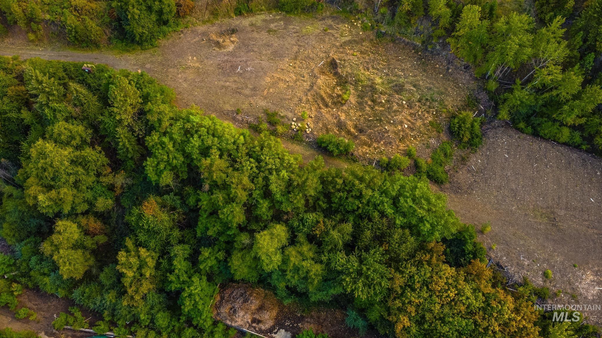 84 Grangemont Rd, Orofino, Idaho 83544, Land For Sale, Price $1,950,000, 98963937