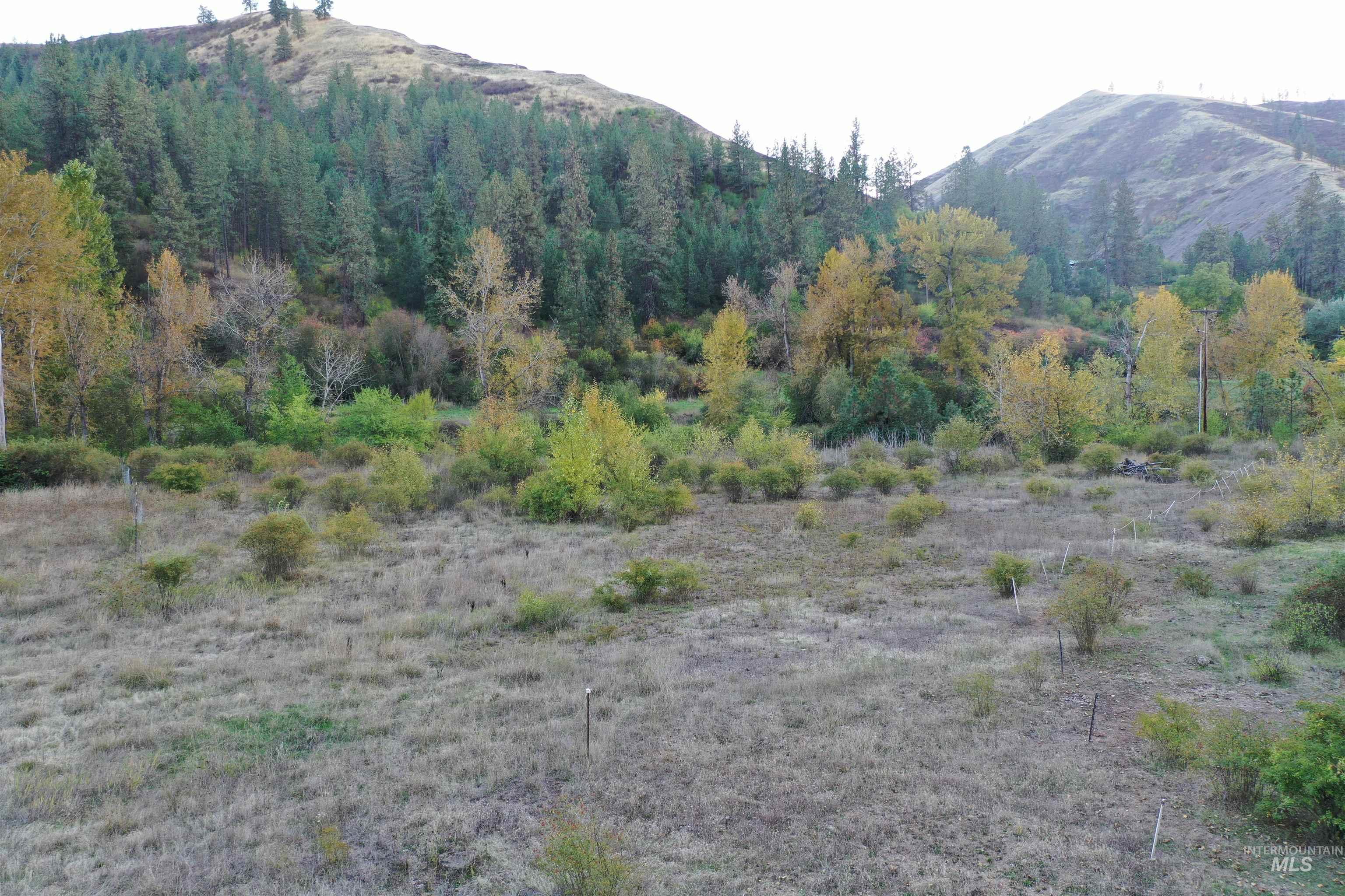 3210 Hwy 162, Kamiah, Idaho 83536, 3 Bedrooms, 2 Bathrooms, Residential For Sale, Price $550,000,MLS 98964076