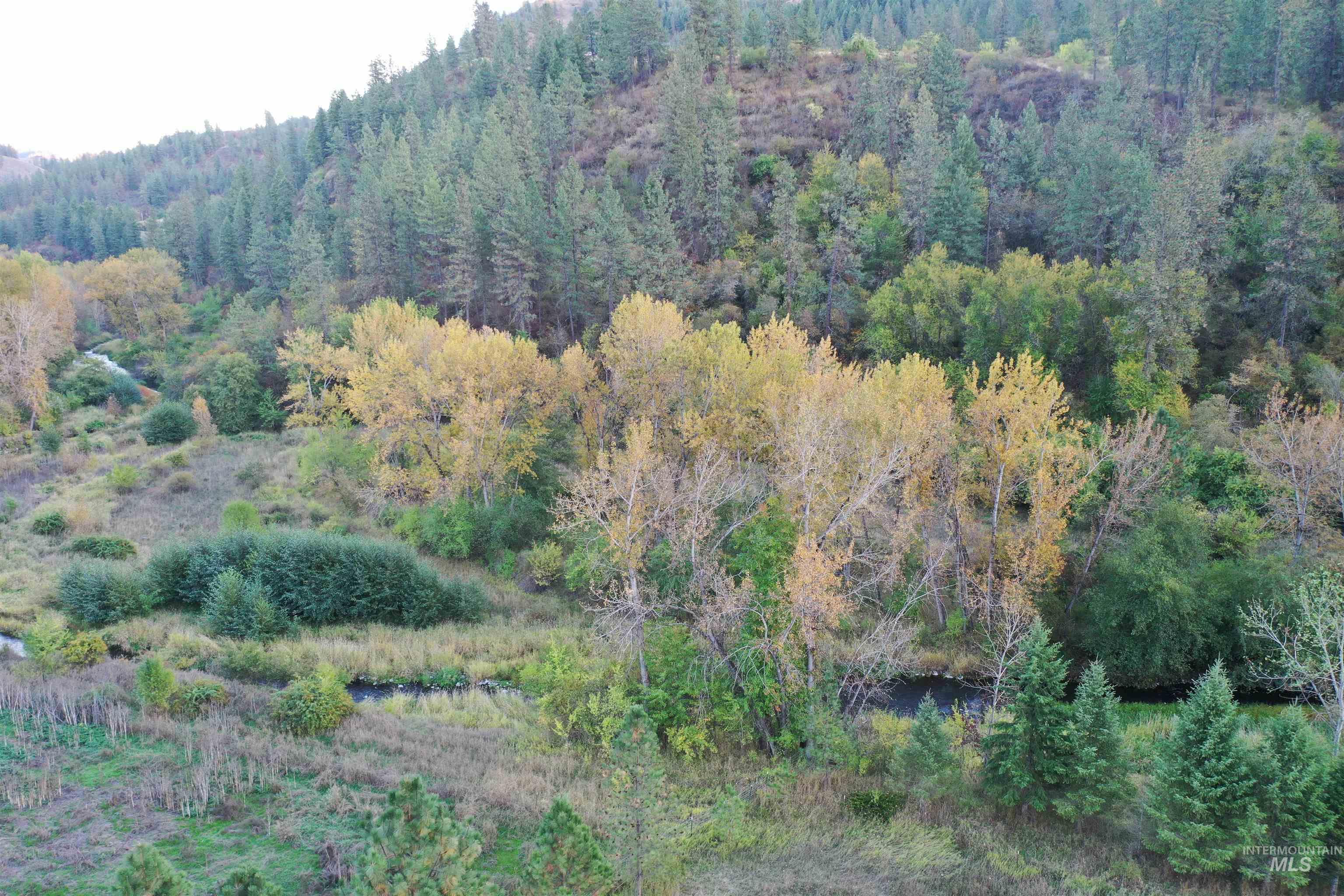 3210 Hwy 162, Kamiah, Idaho 83536, 3 Bedrooms, 2 Bathrooms, Residential For Sale, Price $550,000,MLS 98964076