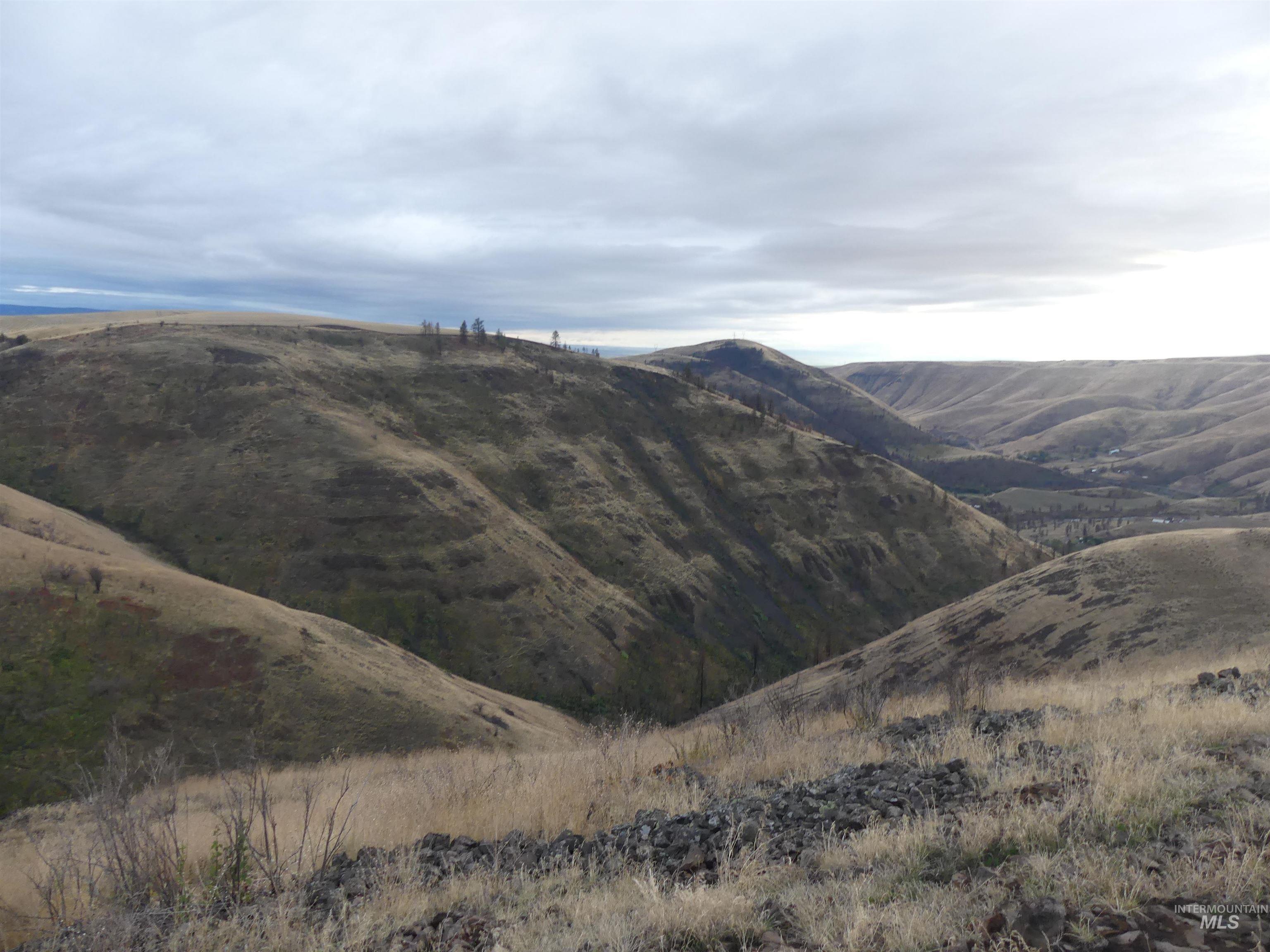 17550 Stoney Point Rd, Juliaetta, Idaho 83535, Land For Sale, Price $140,000,MLS 98964152