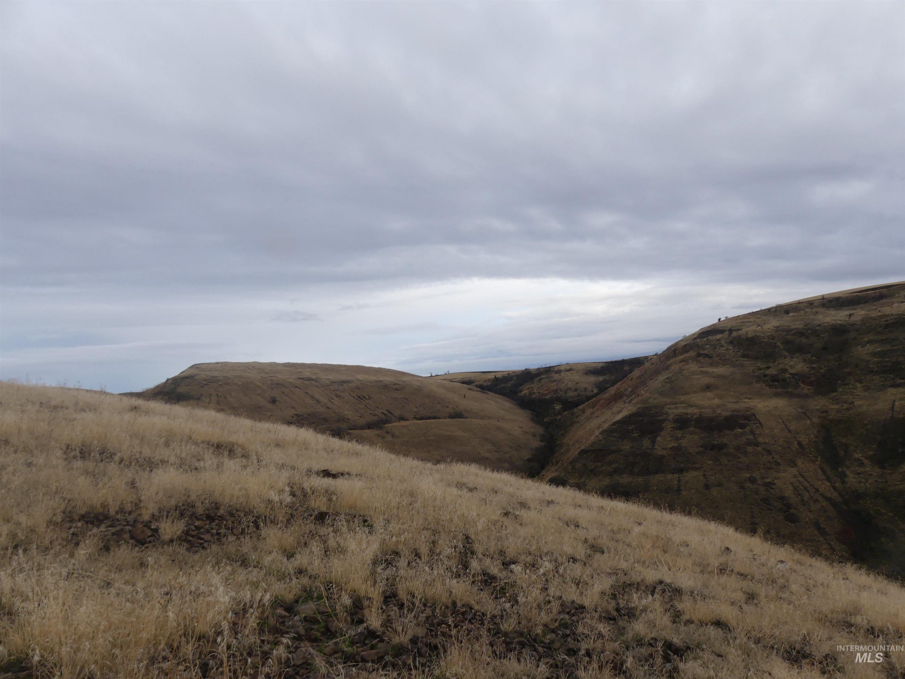 17550 Stoney Point Rd, Juliaetta, Idaho 83535, Land For Sale, Price $140,000,MLS 98964152