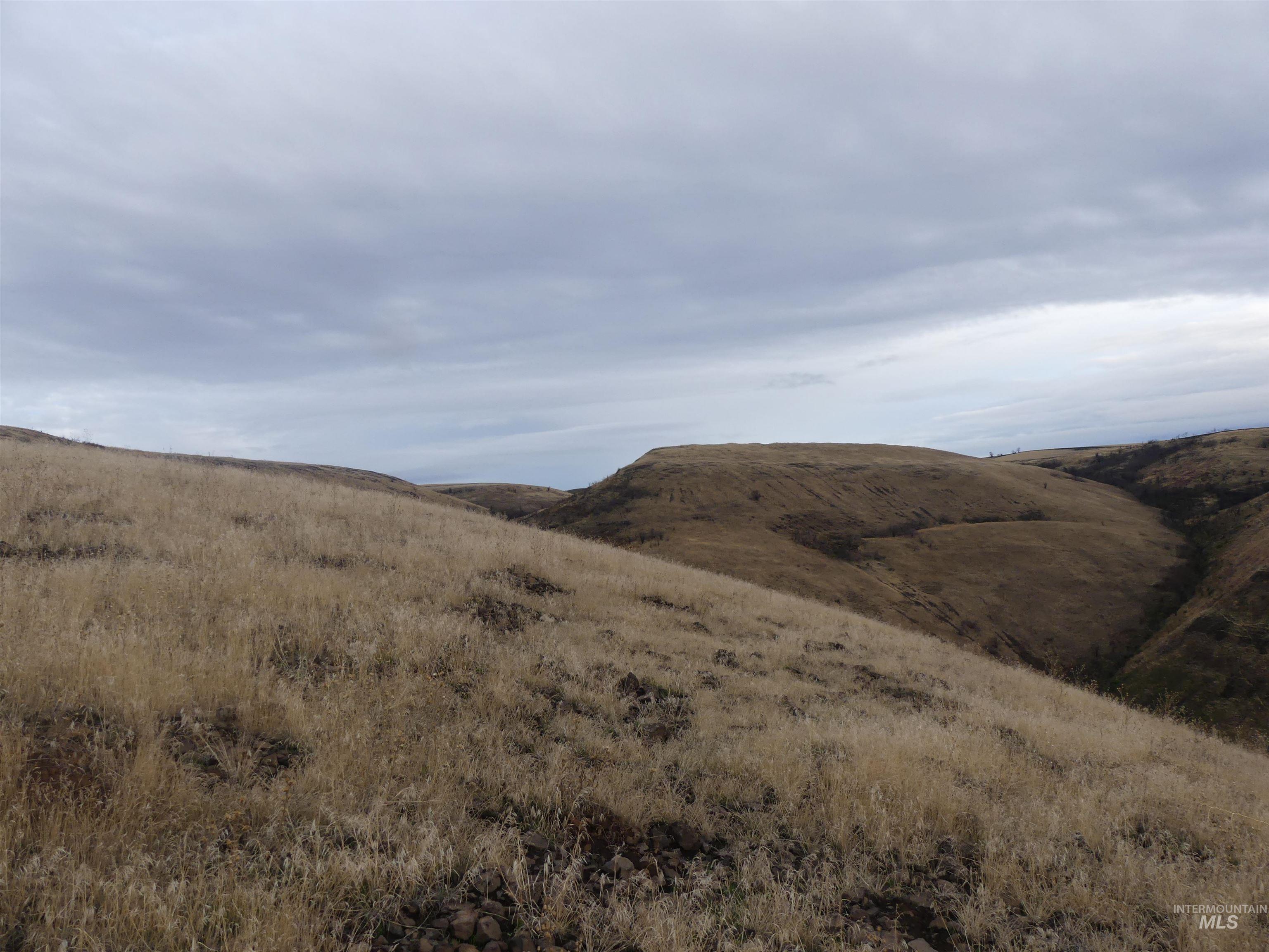 17550 Stoney Point Rd, Juliaetta, Idaho 83535, Land For Sale, Price $140,000,MLS 98964152