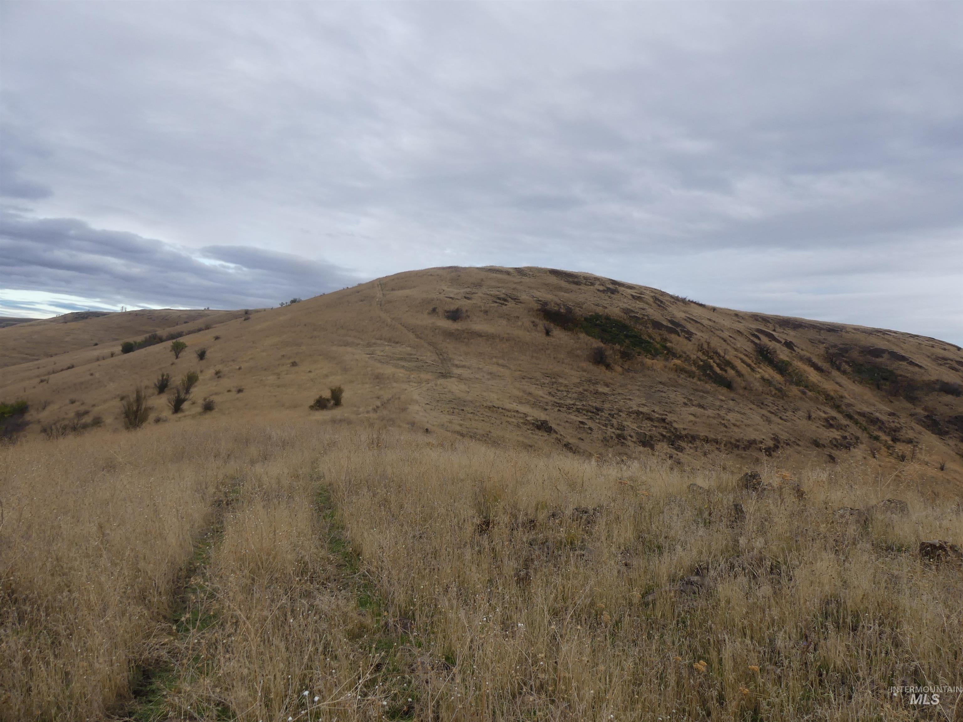 17550 Stoney Point Rd, Juliaetta, Idaho 83535, Land For Sale, Price $140,000,MLS 98964152