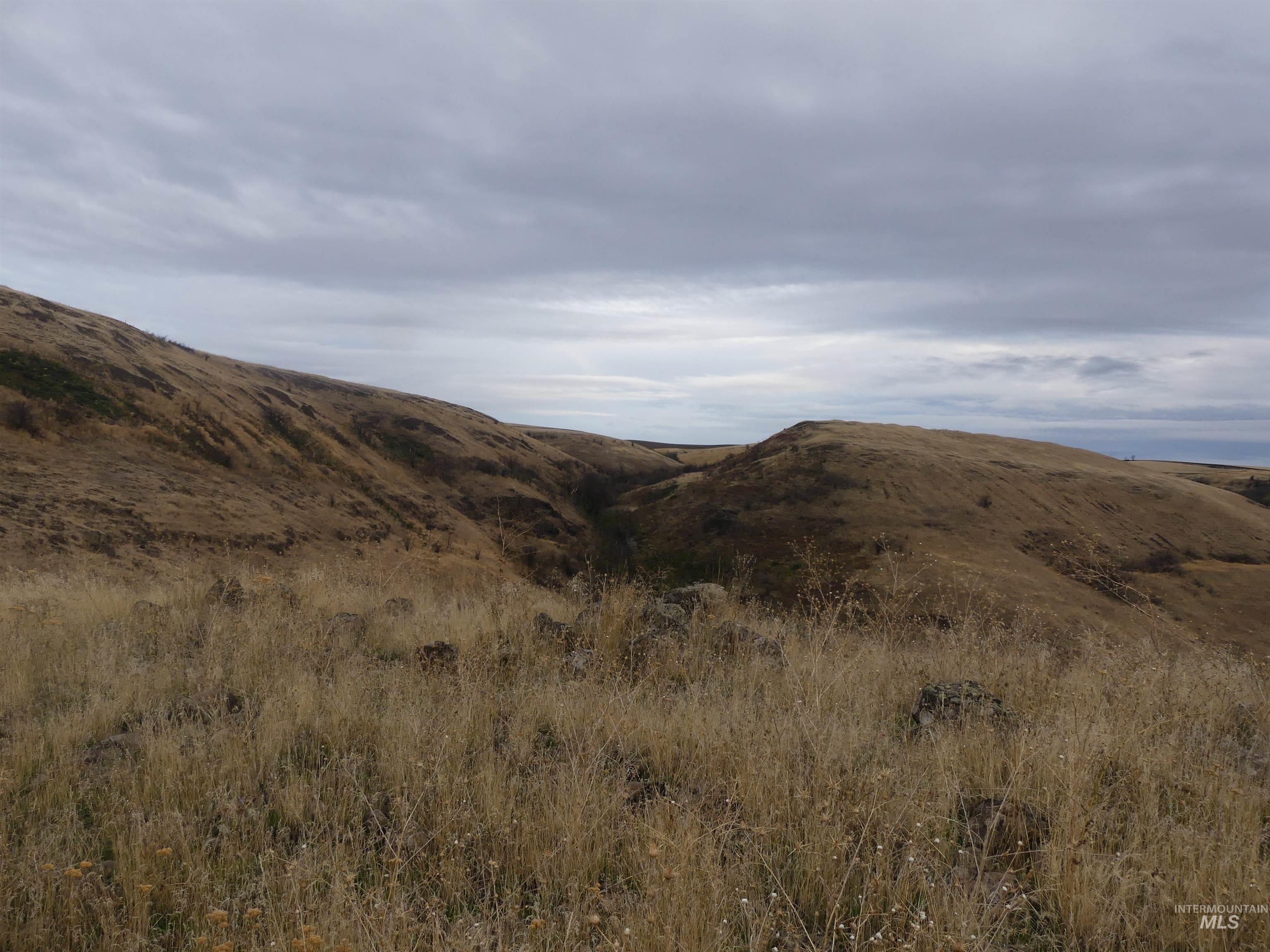 17550 Stoney Point Rd, Juliaetta, Idaho 83535, Land For Sale, Price $140,000,MLS 98964152
