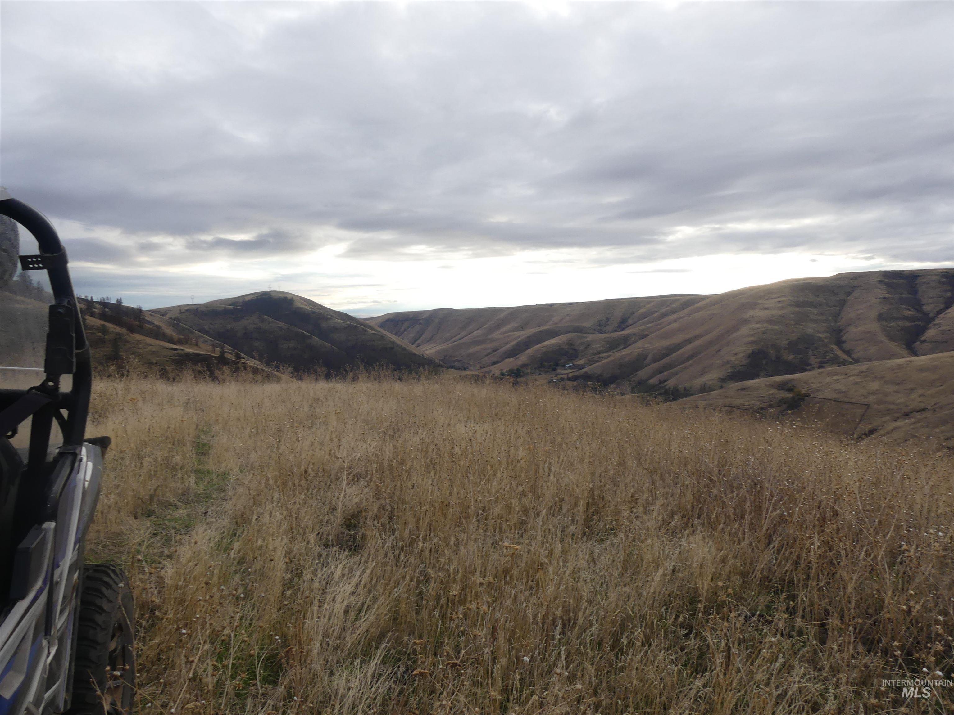 17550 Stoney Point Rd, Juliaetta, Idaho 83535, Land For Sale, Price $140,000,MLS 98964152