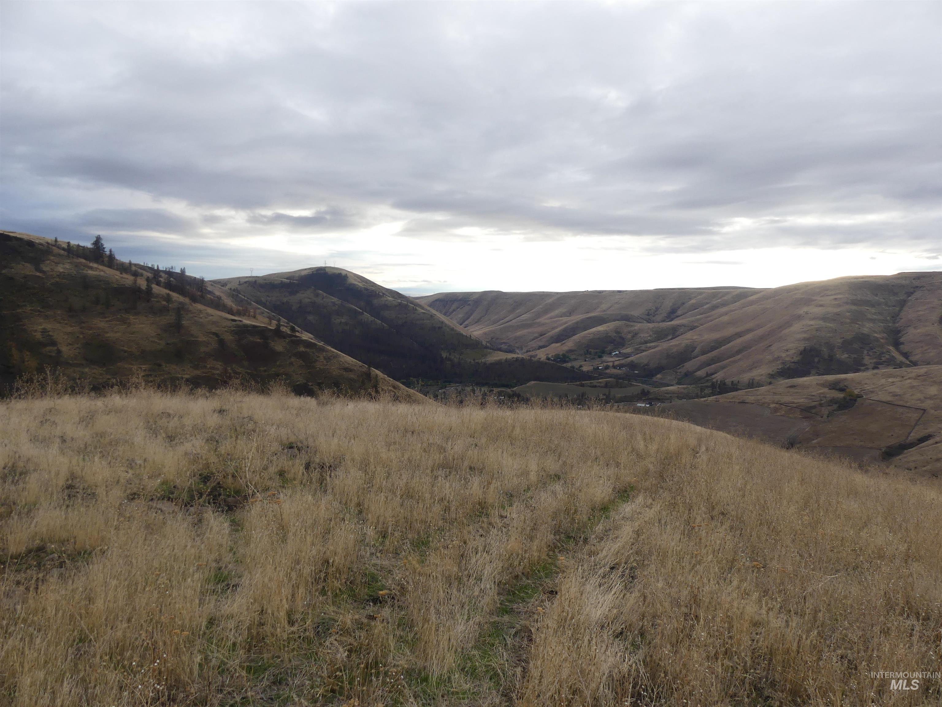 17550 Stoney Point Rd, Juliaetta, Idaho 83535, Land For Sale, Price $140,000,MLS 98964152