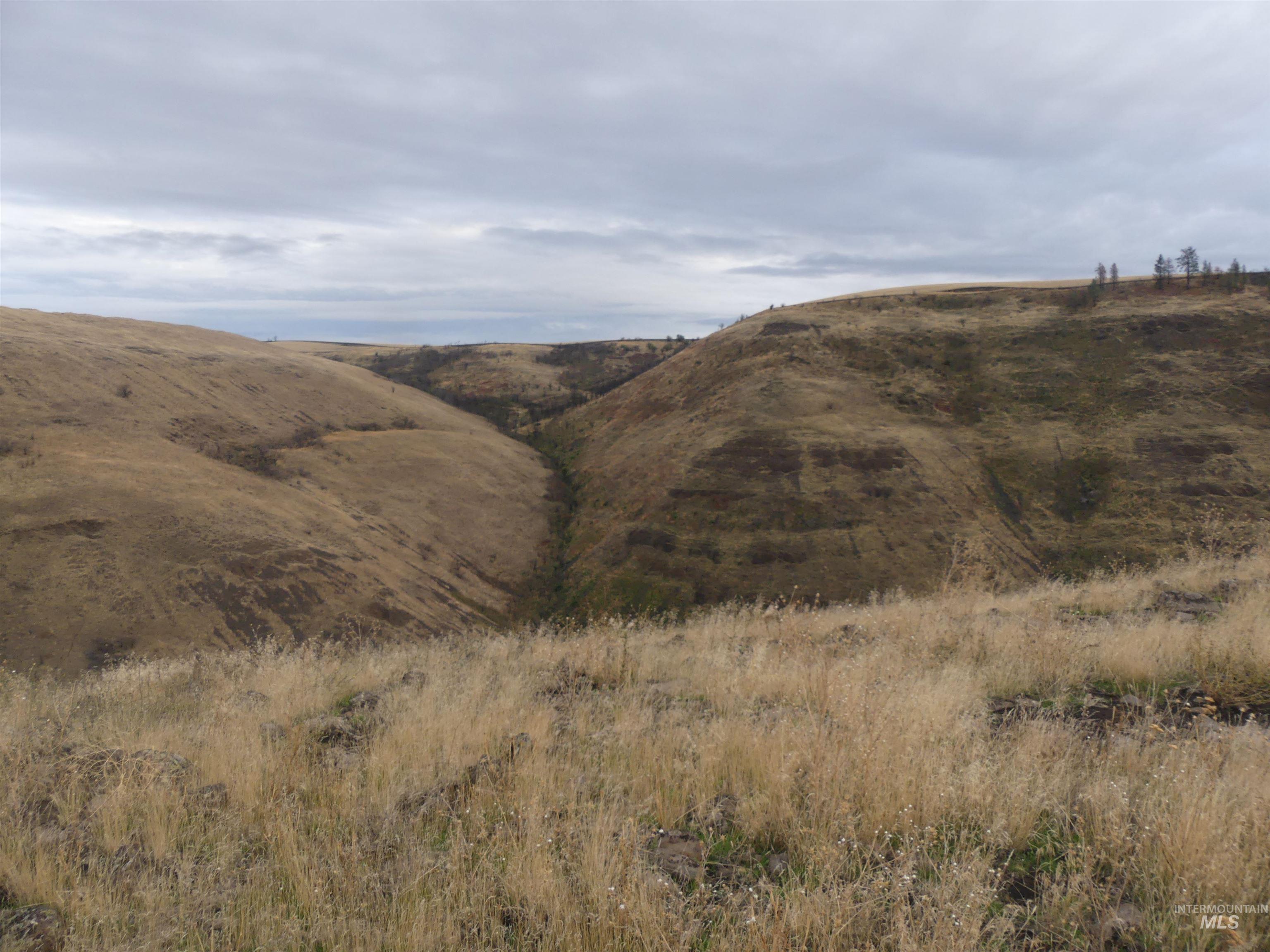 17550 Stoney Point Rd, Juliaetta, Idaho 83535, Land For Sale, Price $140,000,MLS 98964152