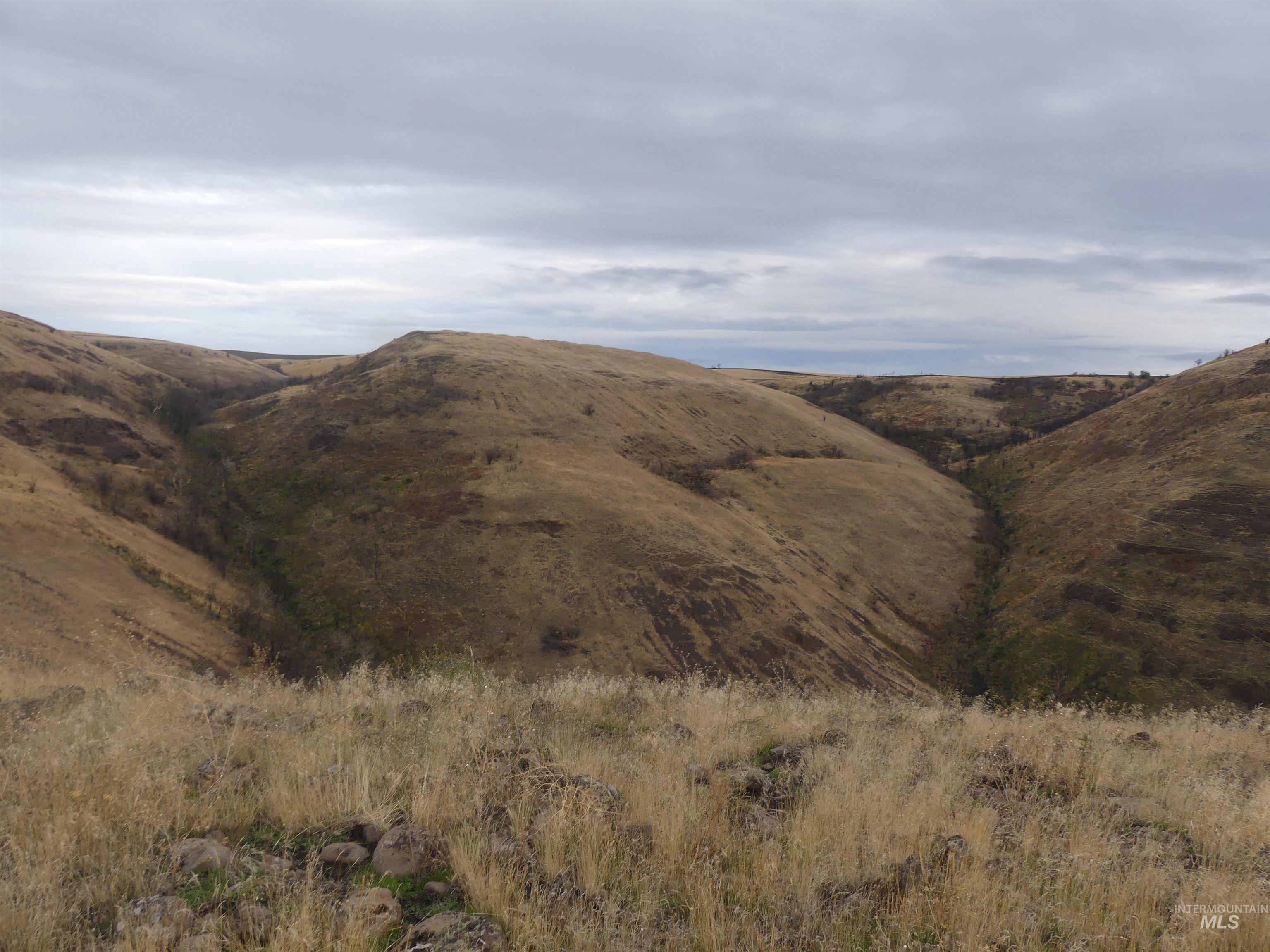 17550 Stoney Point Rd, Juliaetta, Idaho 83535, Land For Sale, Price $140,000,MLS 98964152