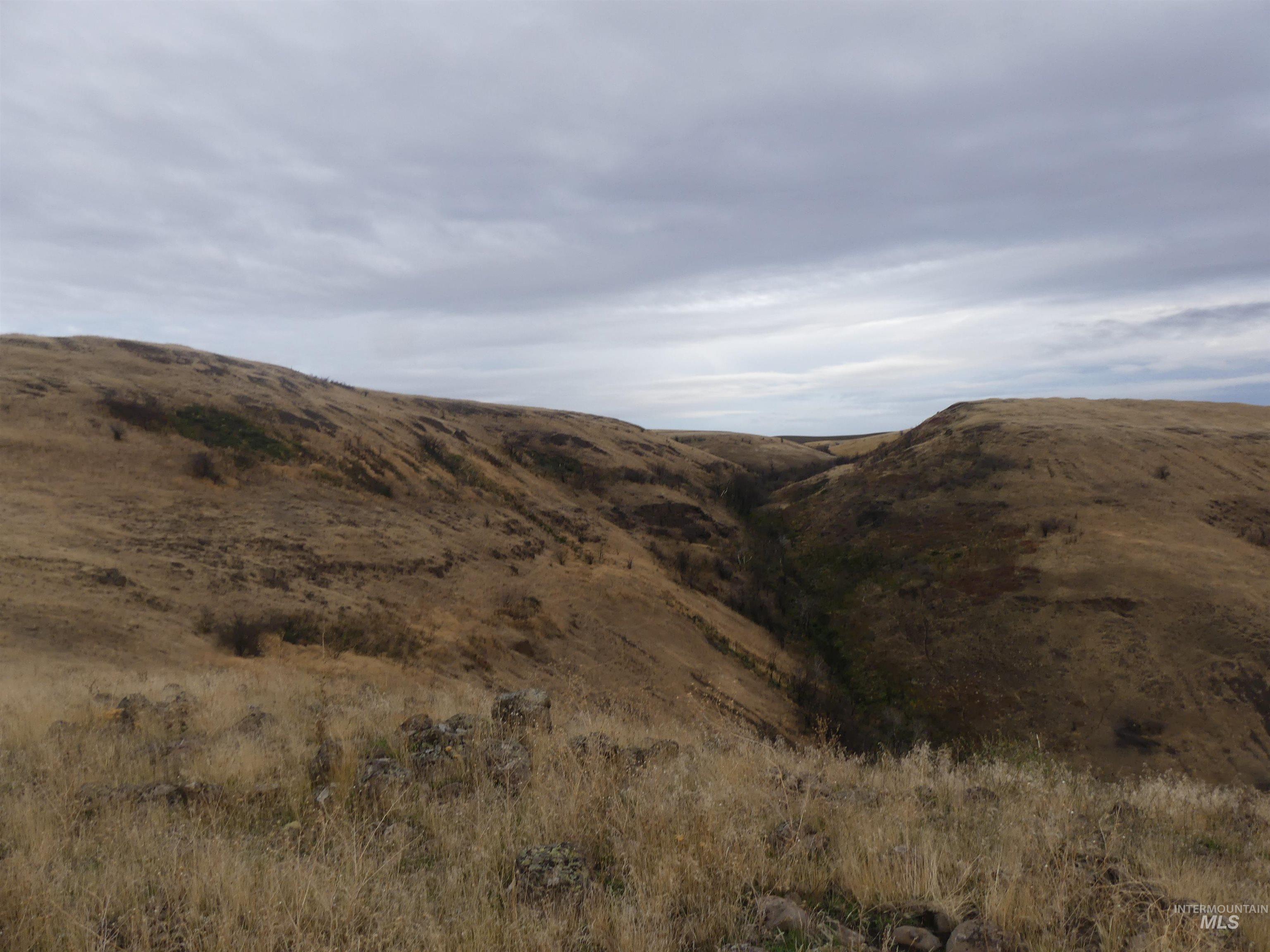 17550 Stoney Point Rd, Juliaetta, Idaho 83535, Land For Sale, Price $140,000,MLS 98964152