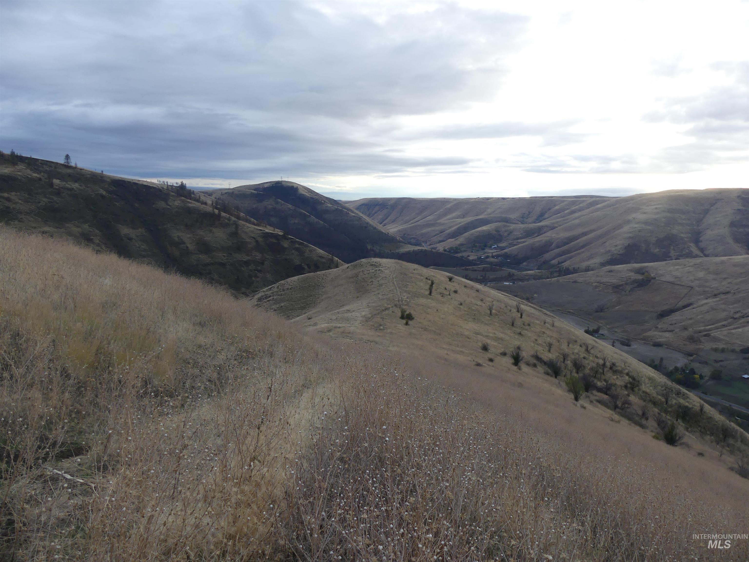 17550 Stoney Point Rd, Juliaetta, Idaho 83535, Land For Sale, Price $140,000,MLS 98964152