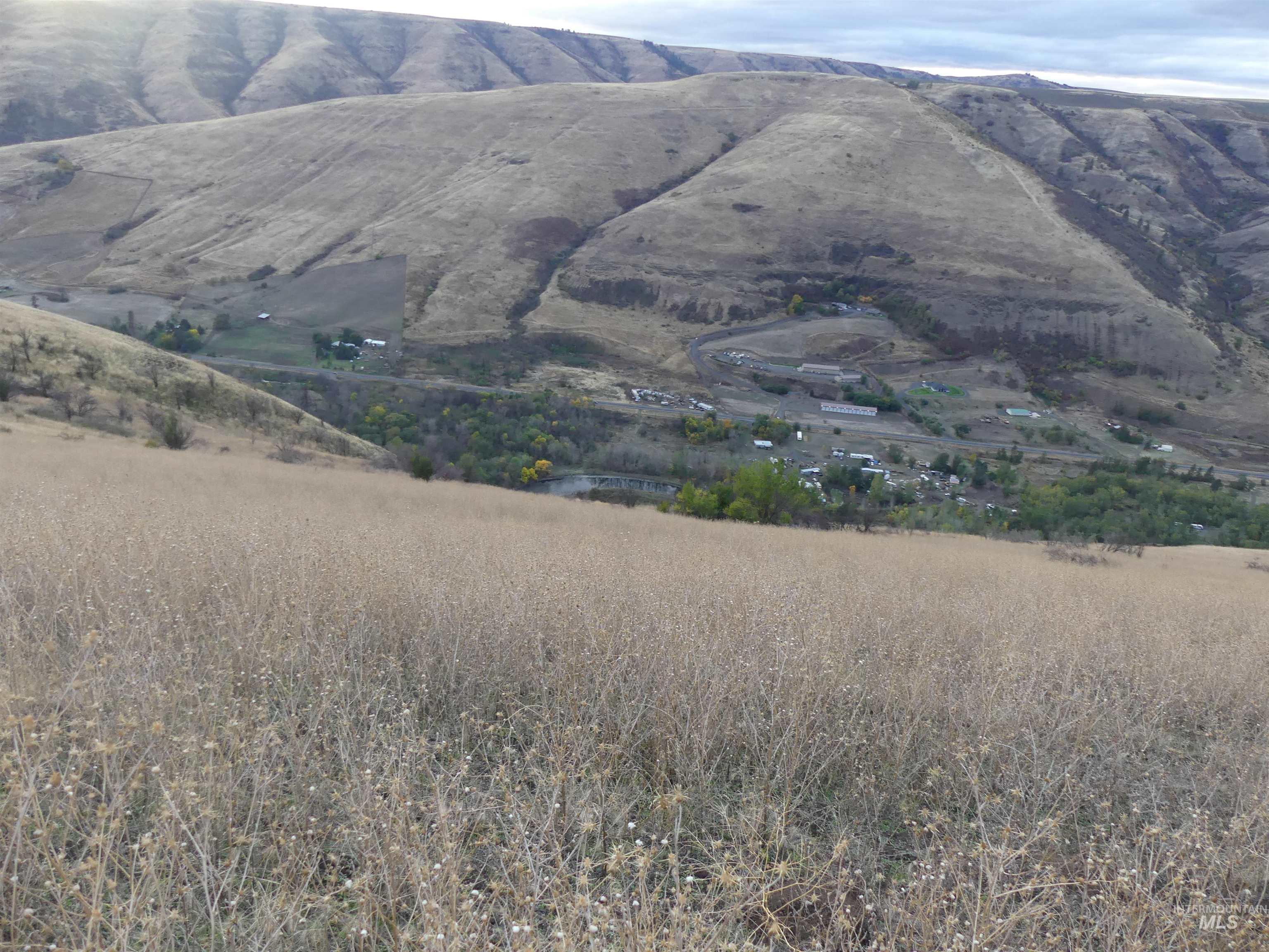 17550 Stoney Point Rd, Juliaetta, Idaho 83535, Land For Sale, Price $140,000,MLS 98964152