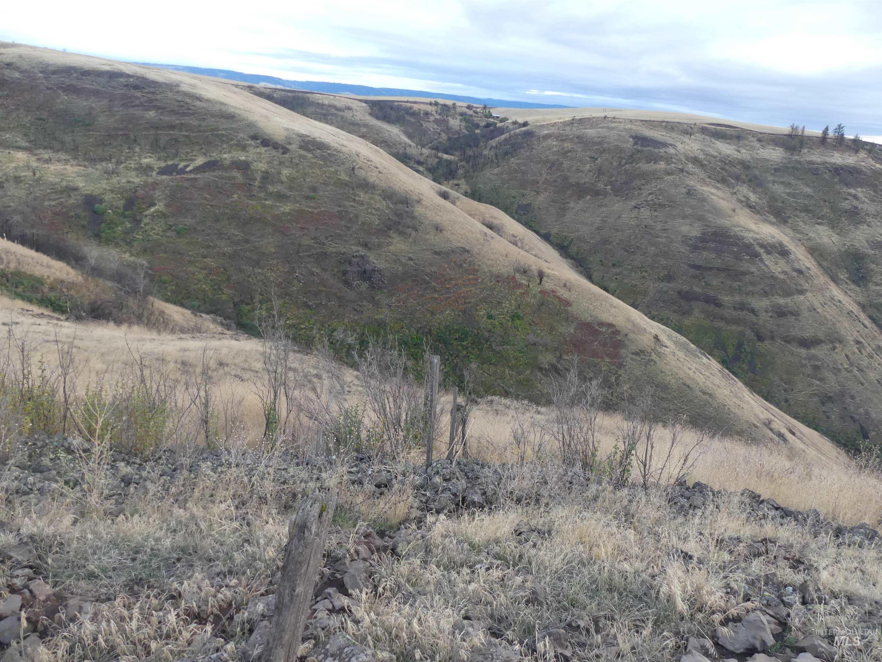 17550 Stoney Point Rd, Juliaetta, Idaho 83535, Land For Sale, Price $140,000,MLS 98964152