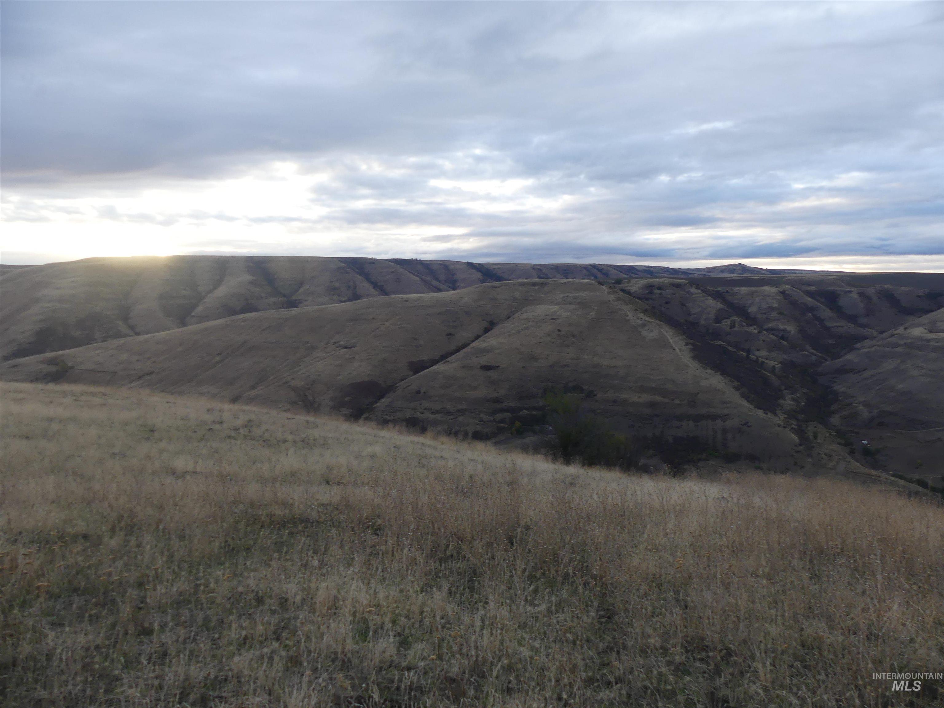 17550 Stoney Point Rd, Juliaetta, Idaho 83535, Land For Sale, Price $140,000,MLS 98964152