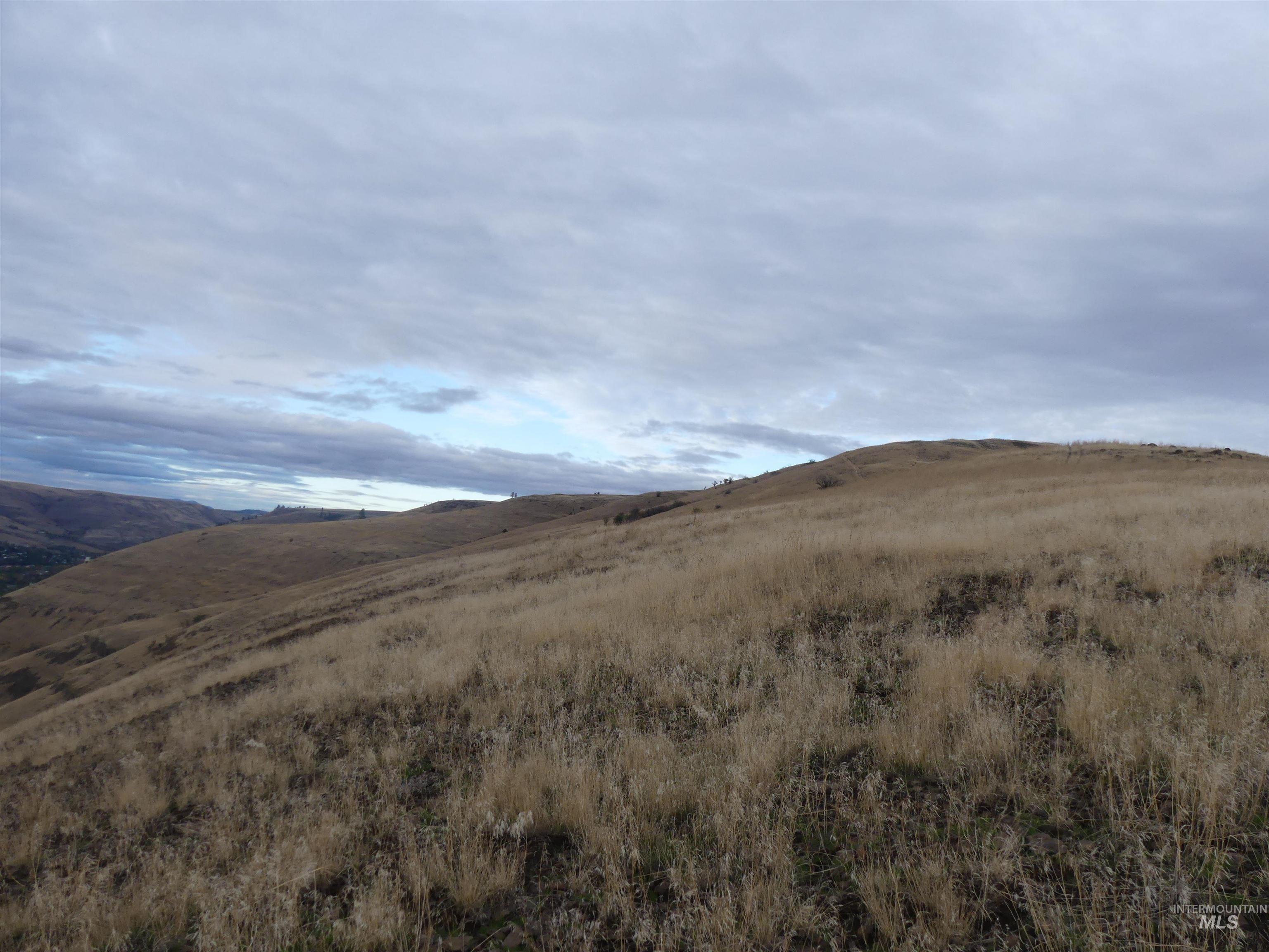 17550 Stoney Point Rd, Juliaetta, Idaho 83535, Land For Sale, Price $140,000,MLS 98964152