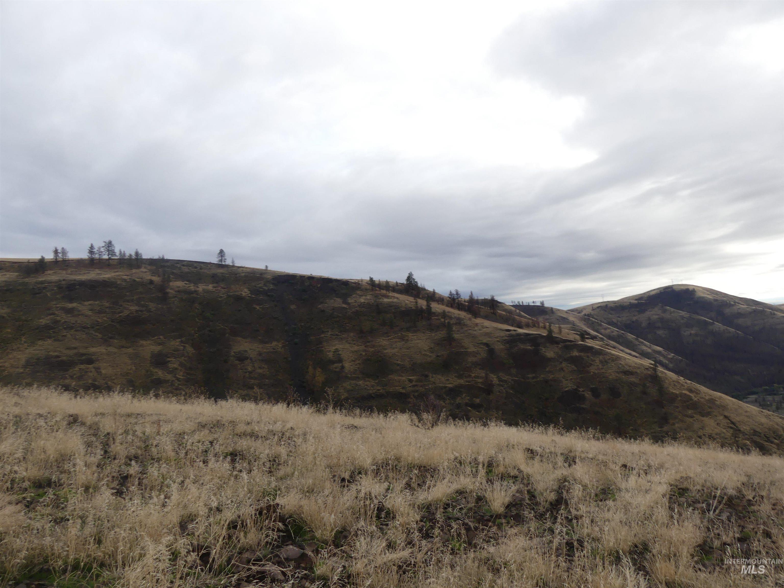 17550 Stoney Point Rd, Juliaetta, Idaho 83535, Land For Sale, Price $140,000,MLS 98964152